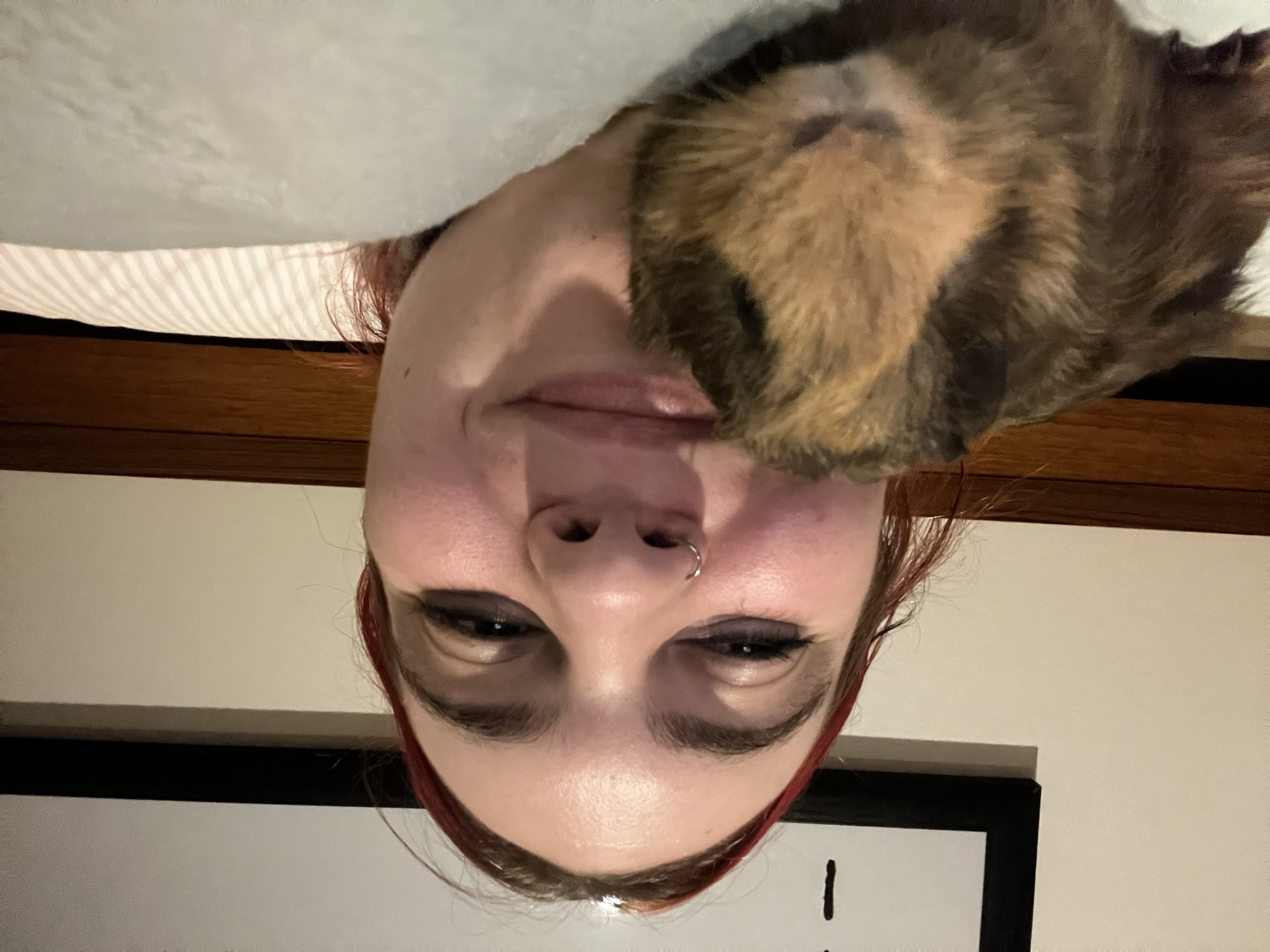 image-8