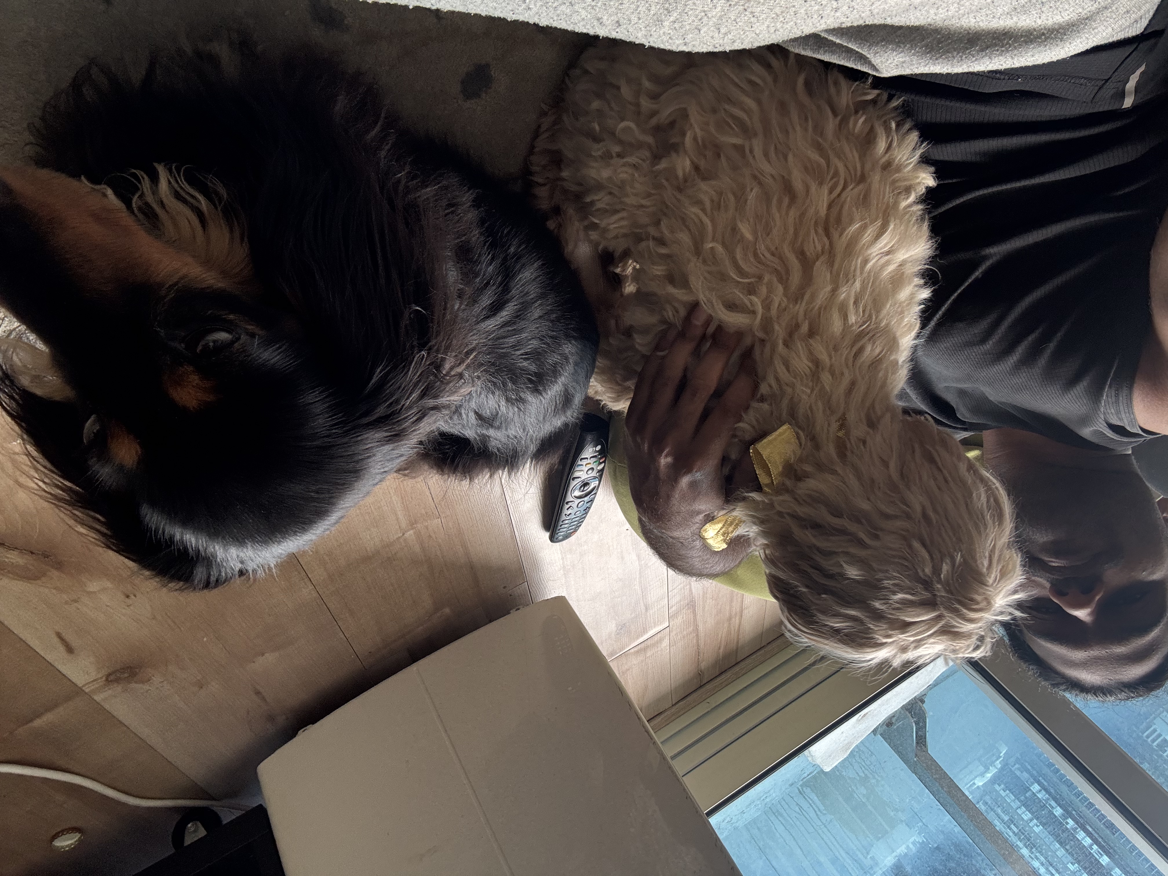 image-4