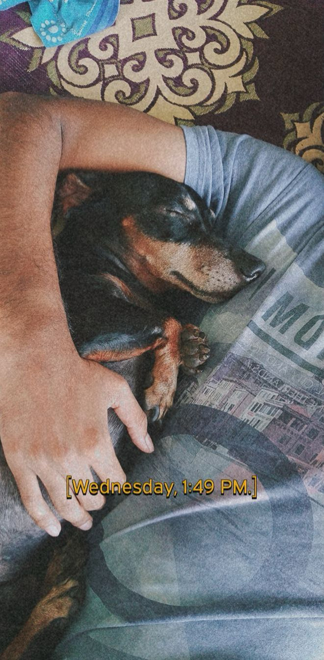 image-8