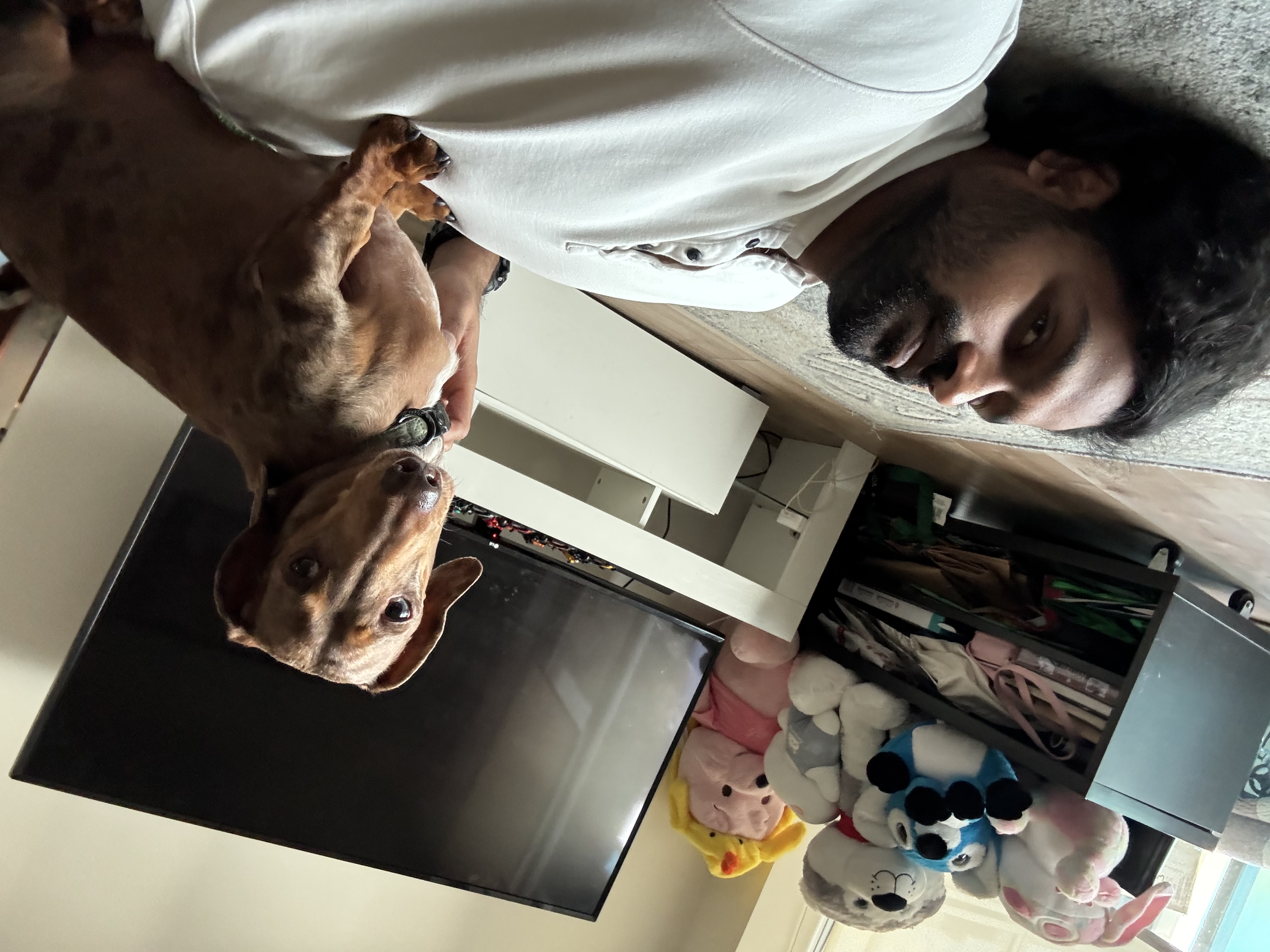 image-7