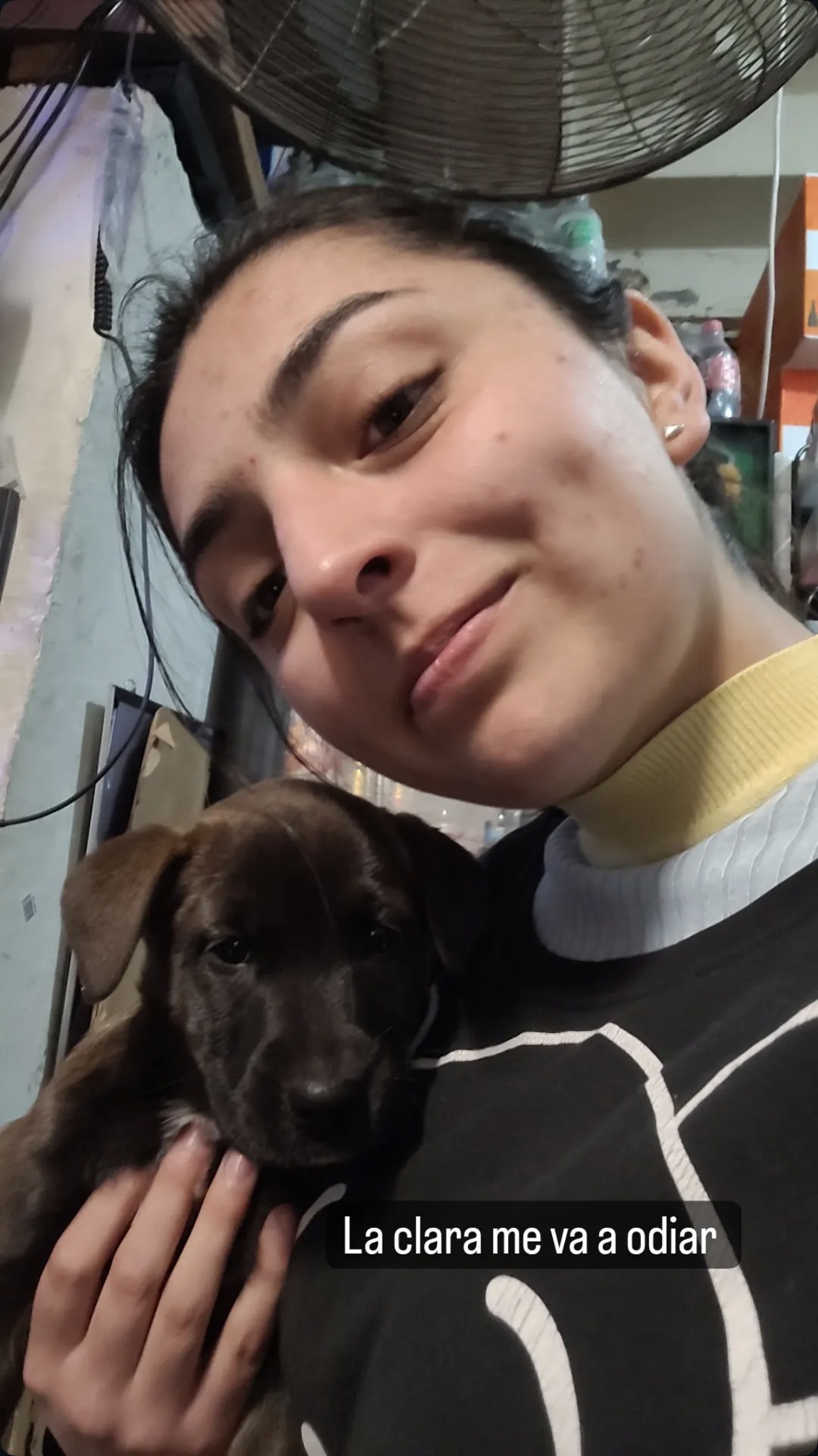 image-8