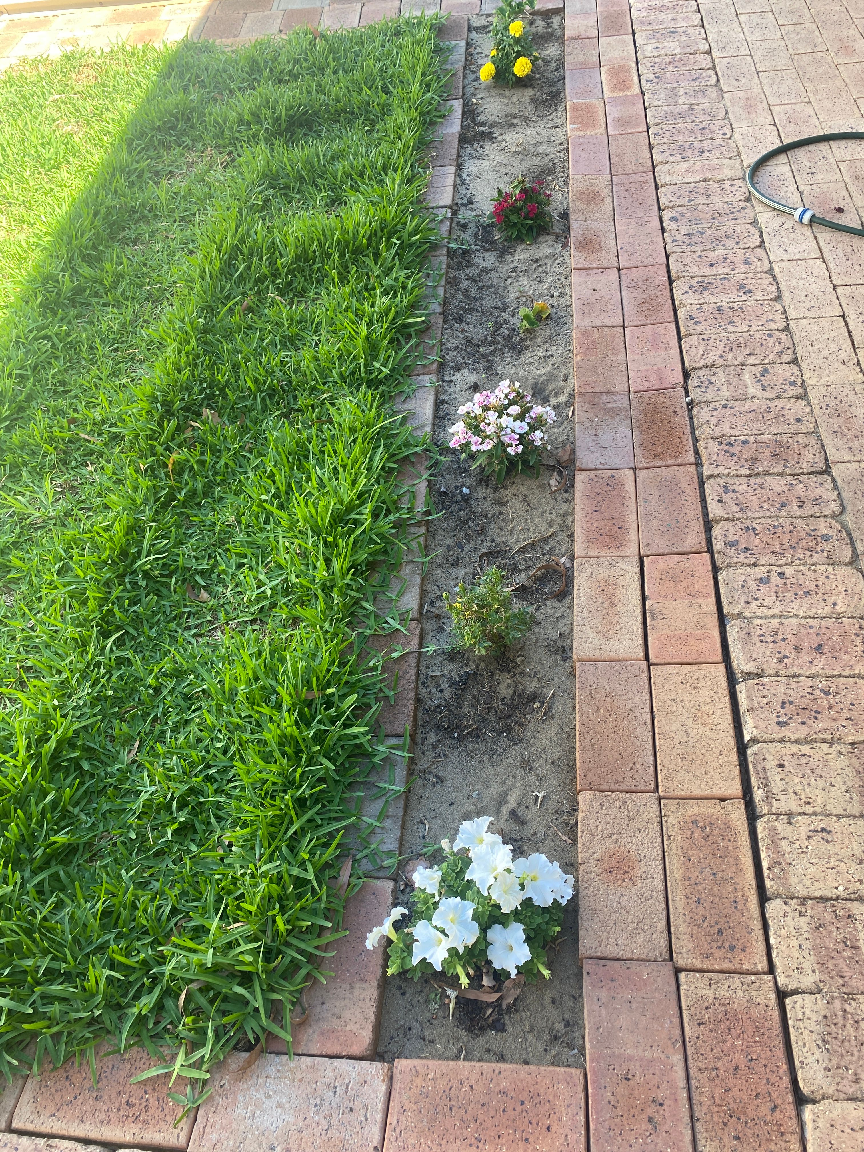 image-27