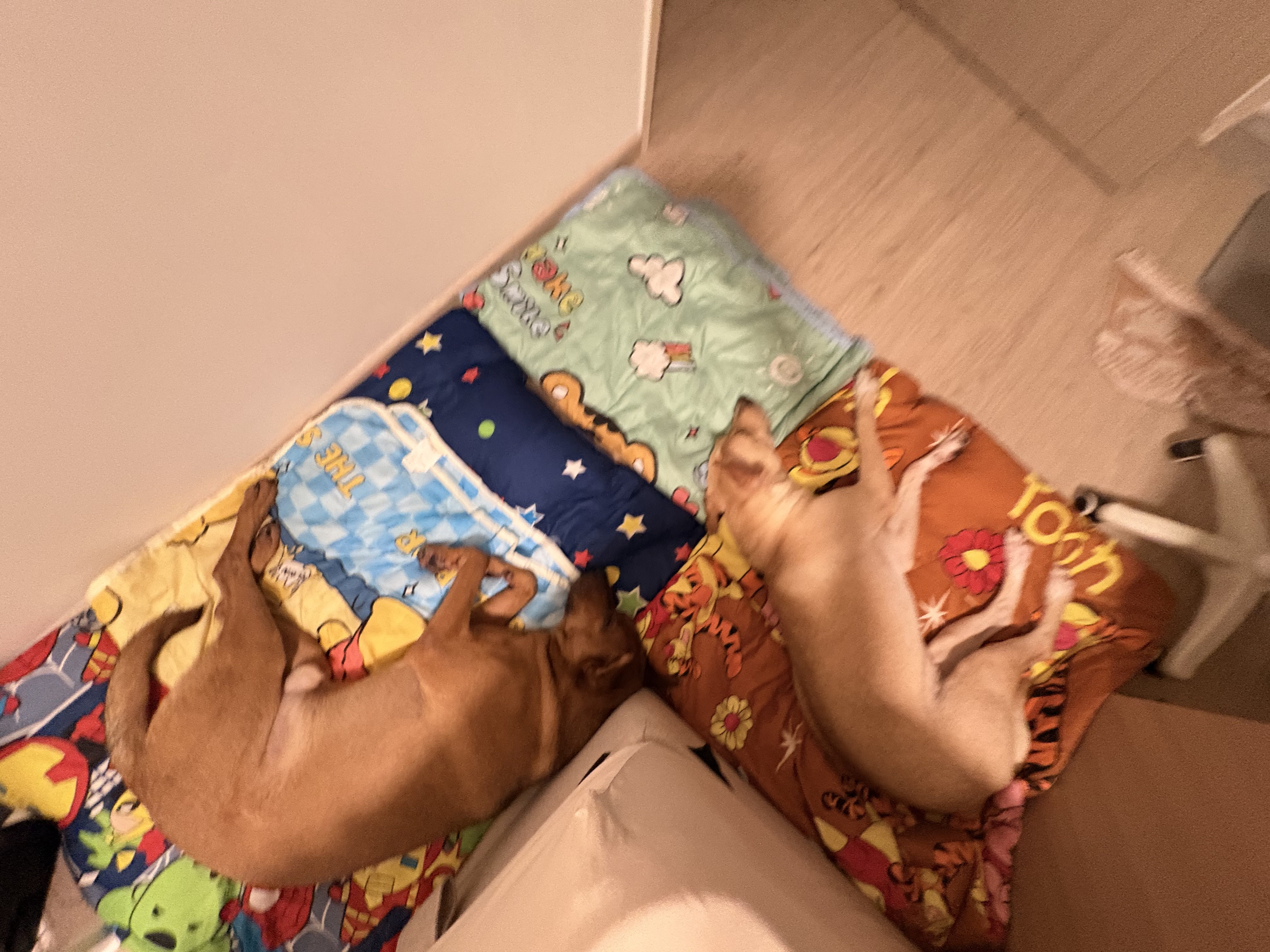 image-8