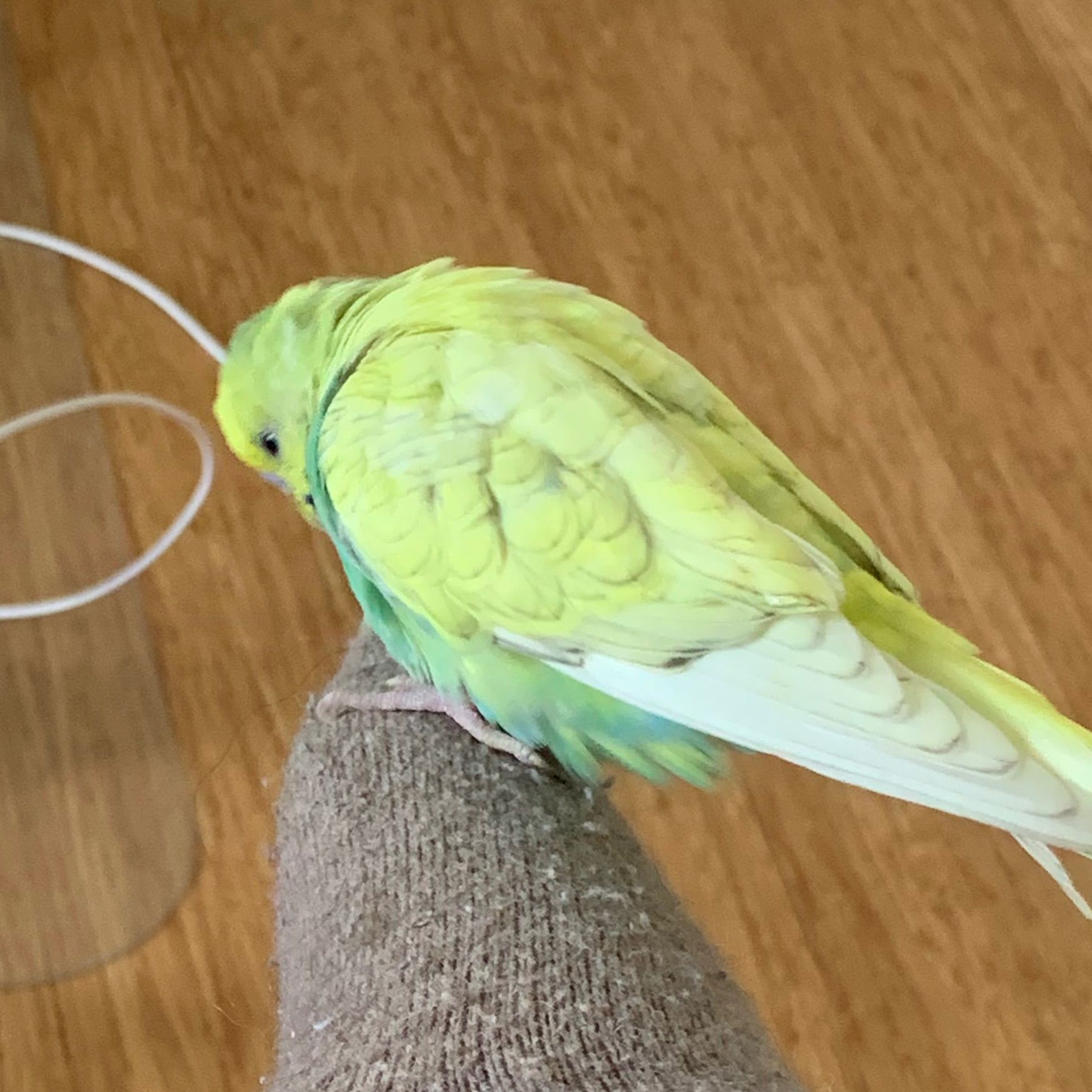 Bananito