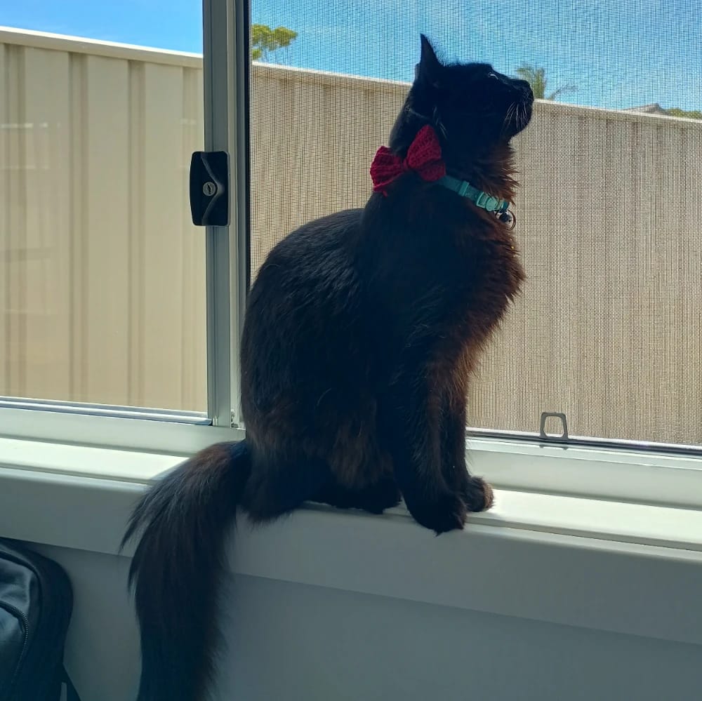 Luna