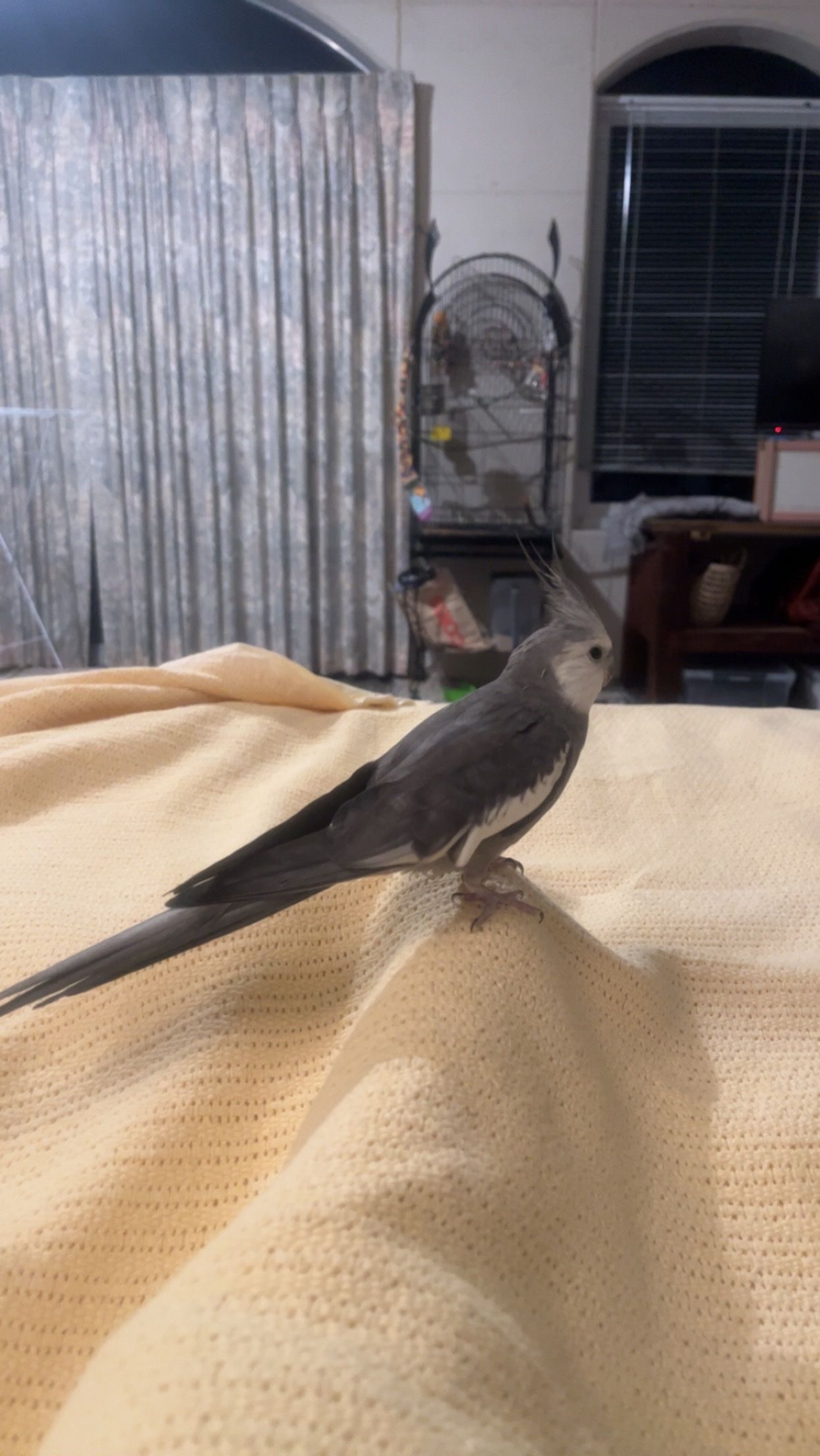 image-11