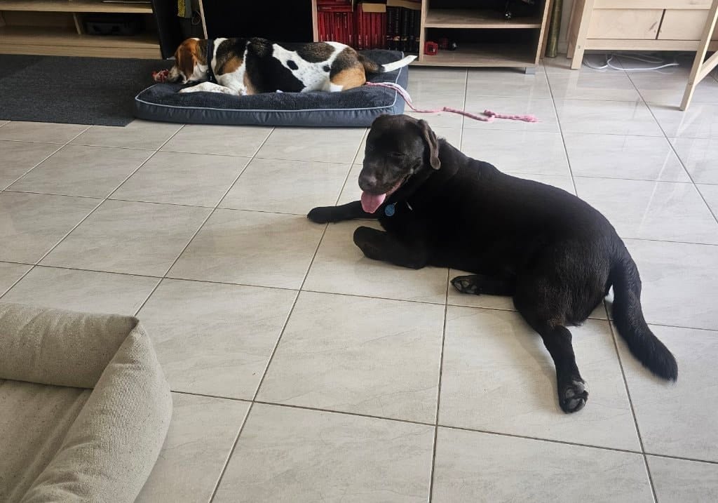 image-44
