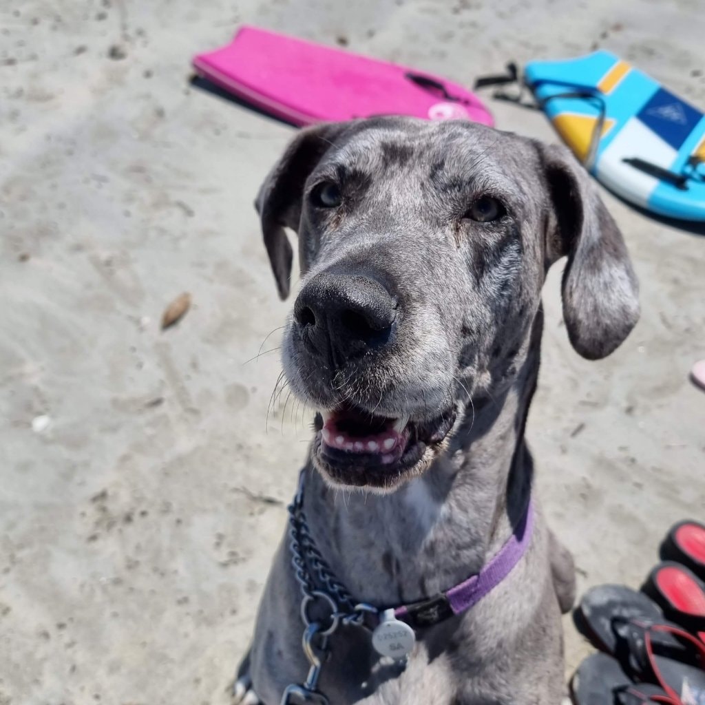 Skye