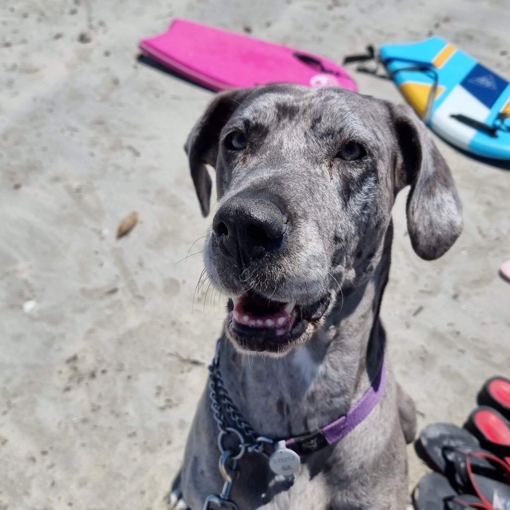 Skye