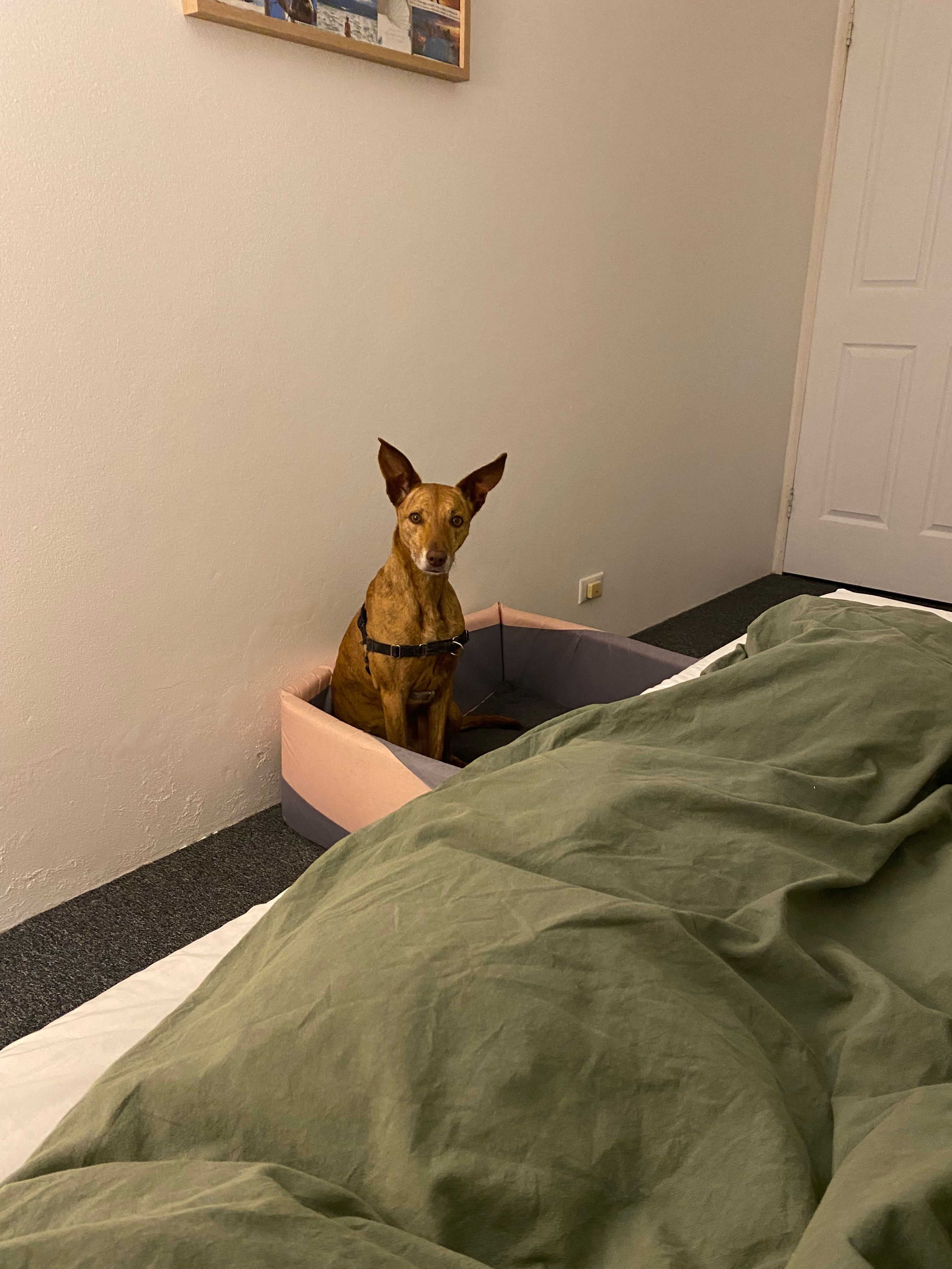 image-5