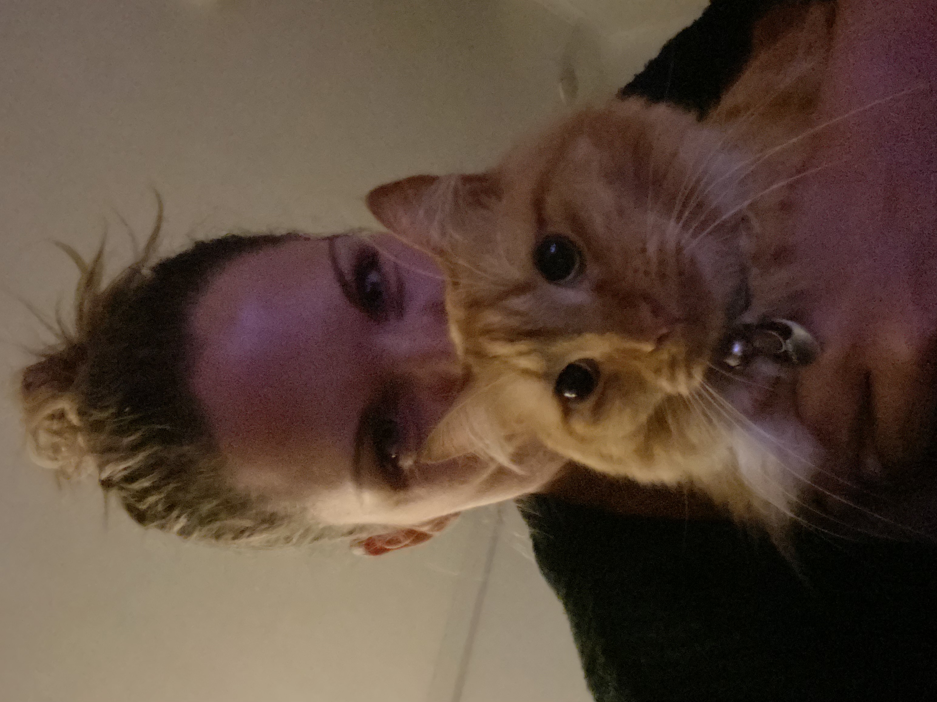 image-7