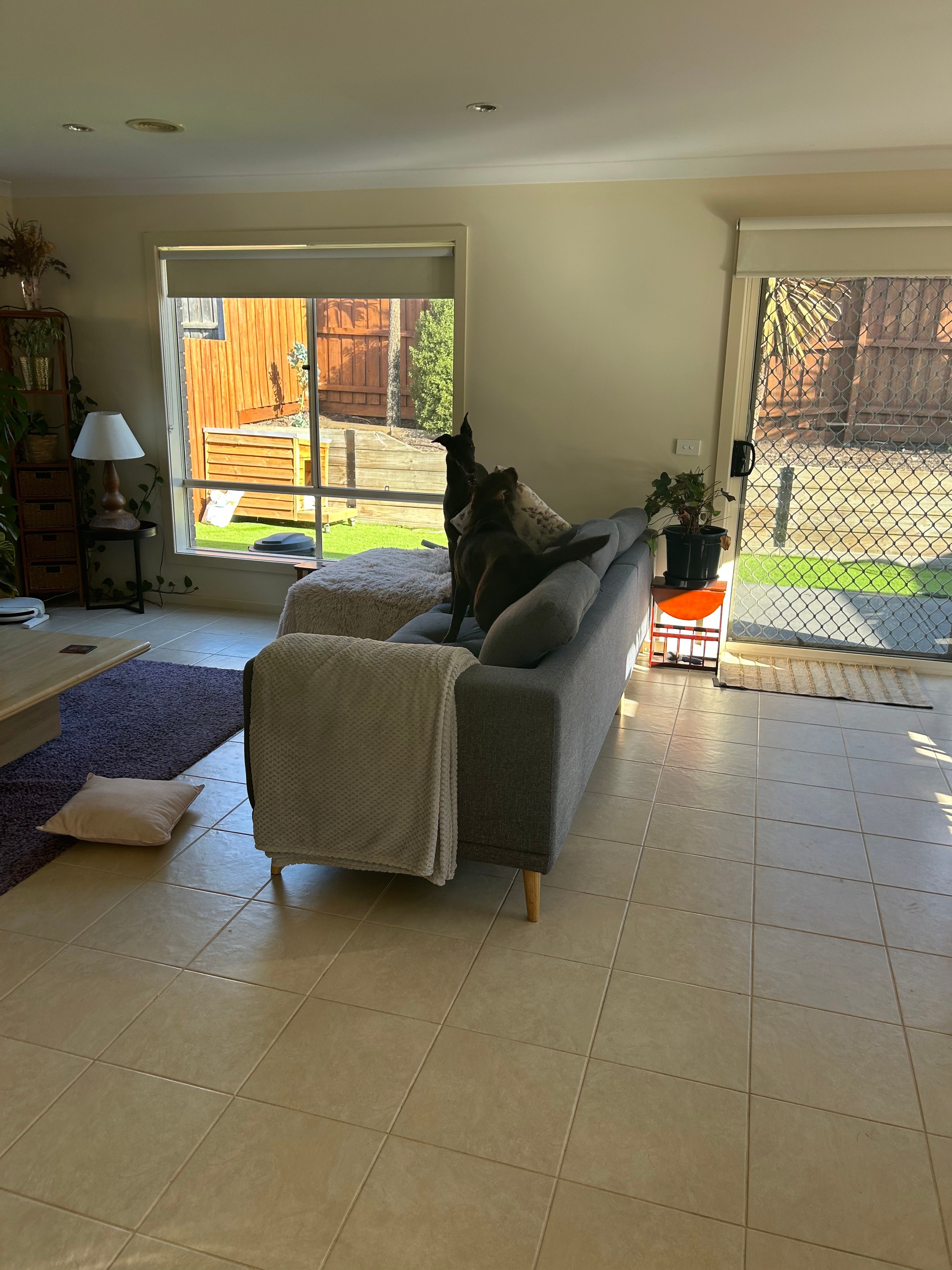 image-10