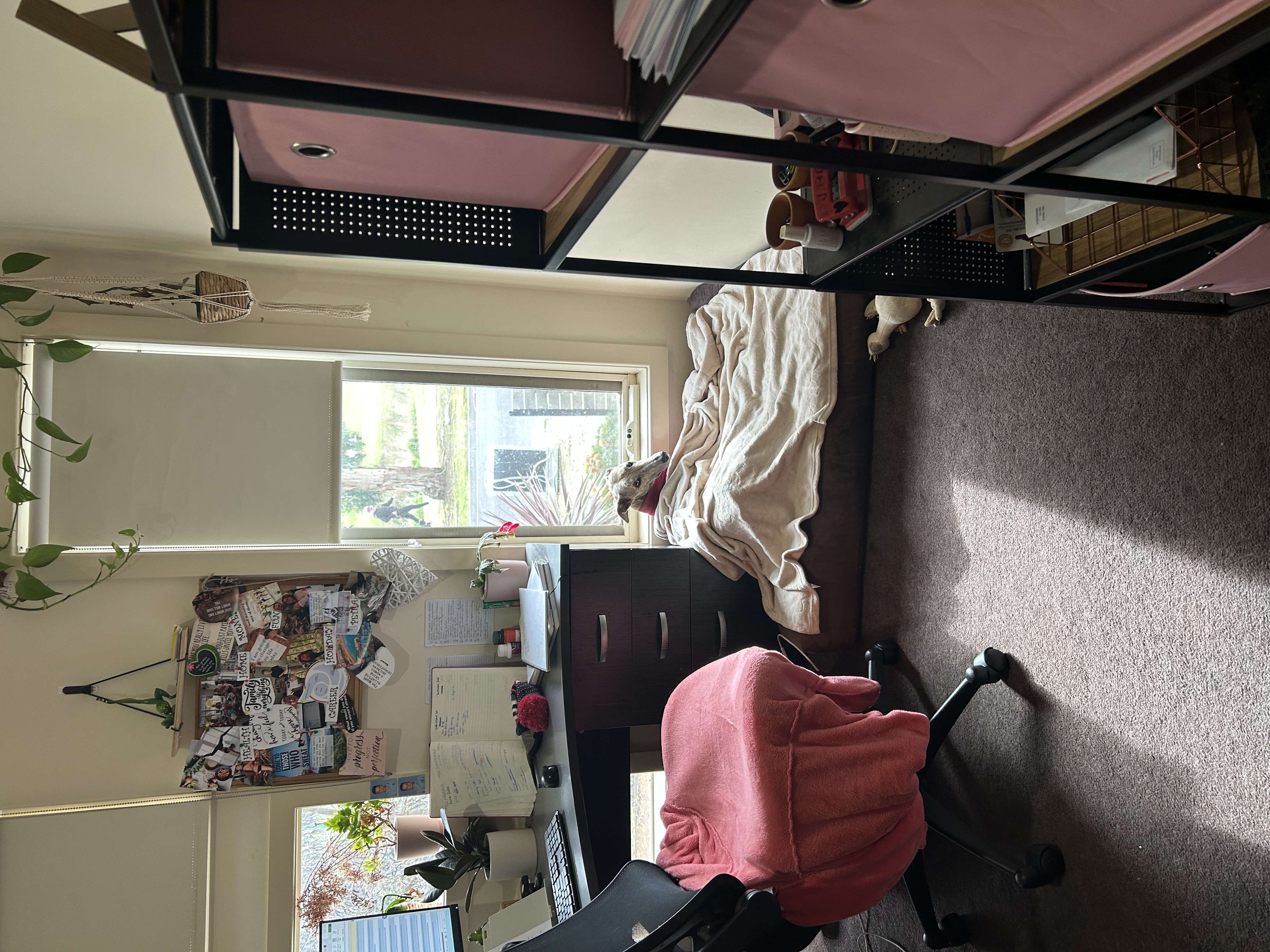 image-17