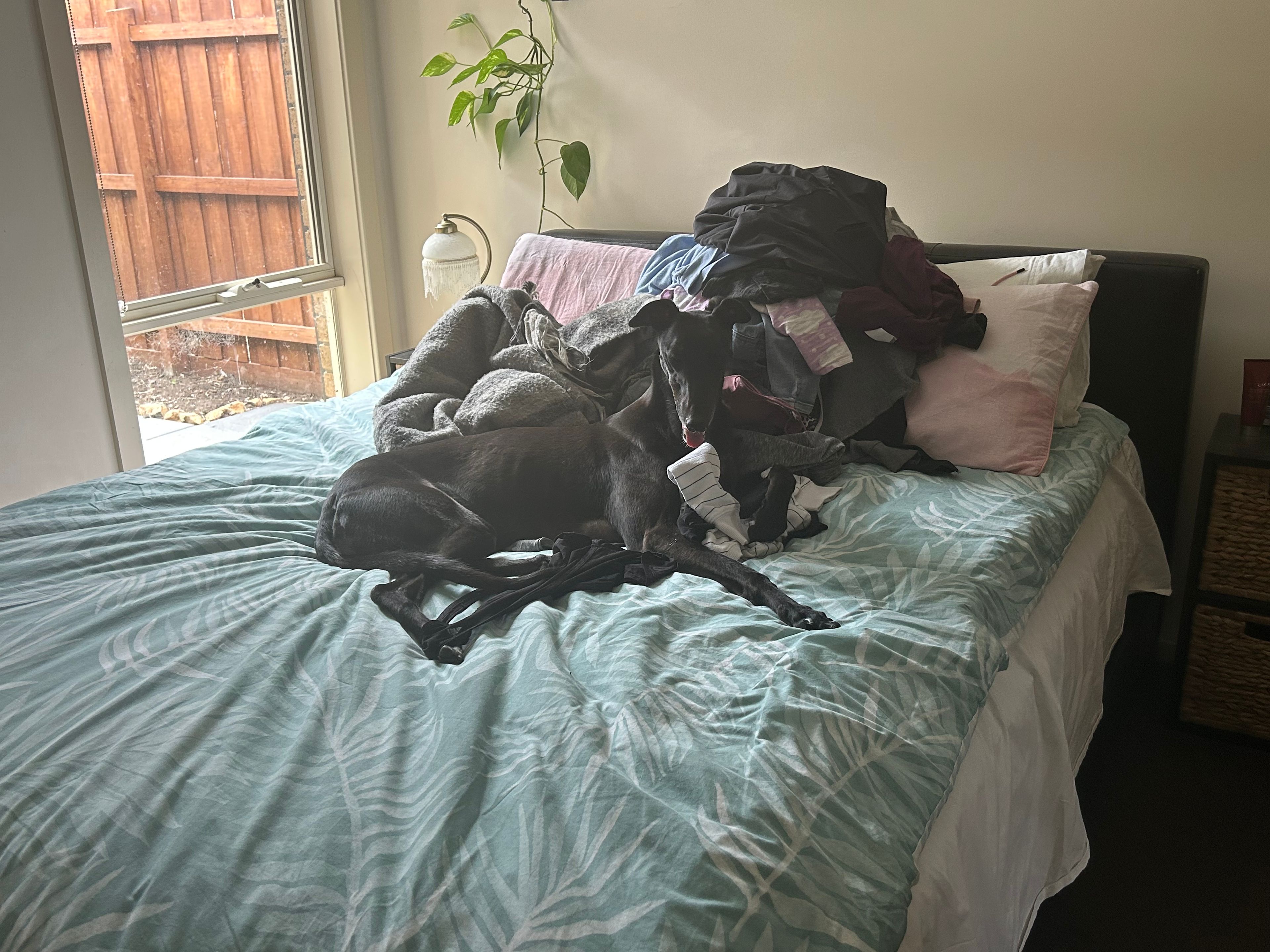 image-12