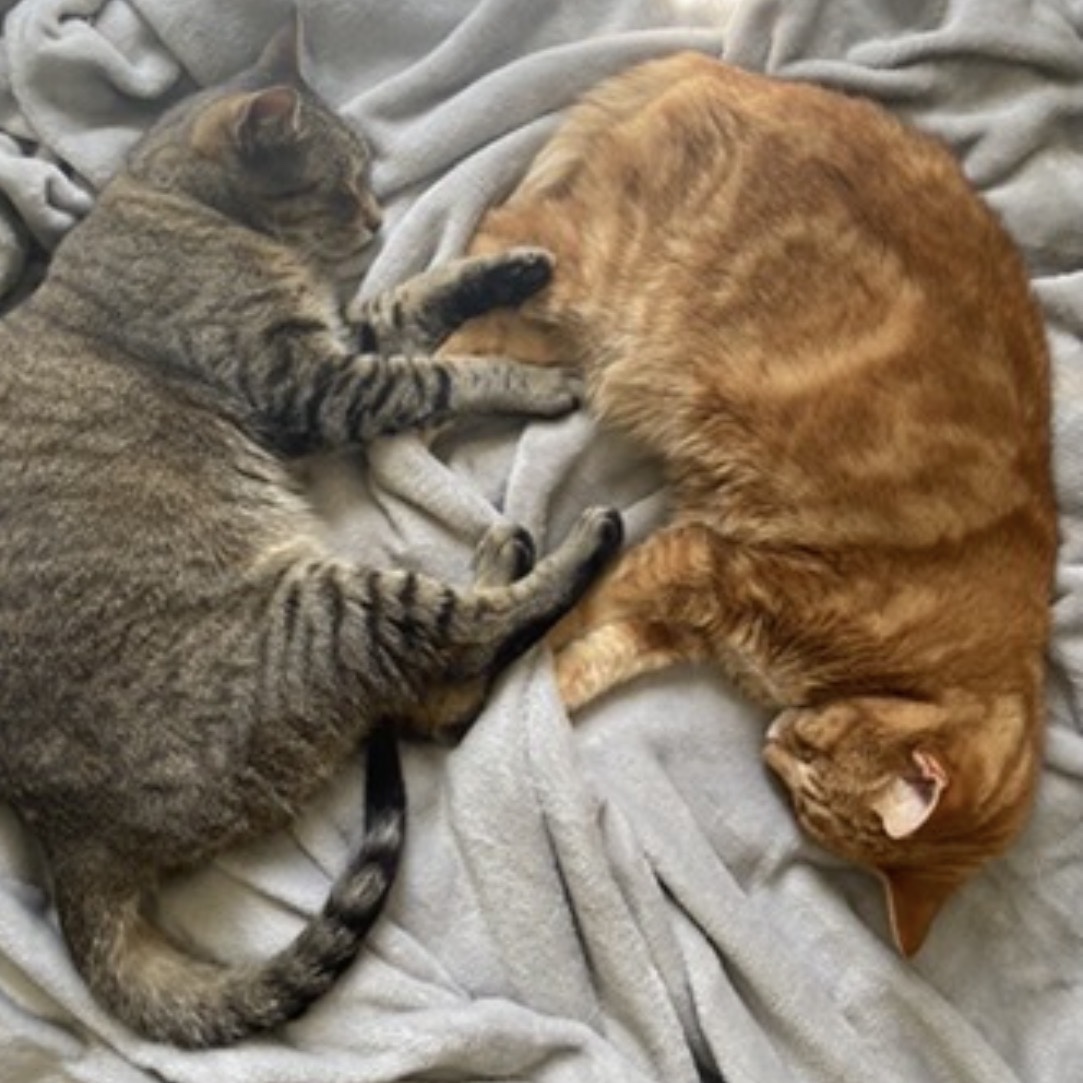Smooch Paw