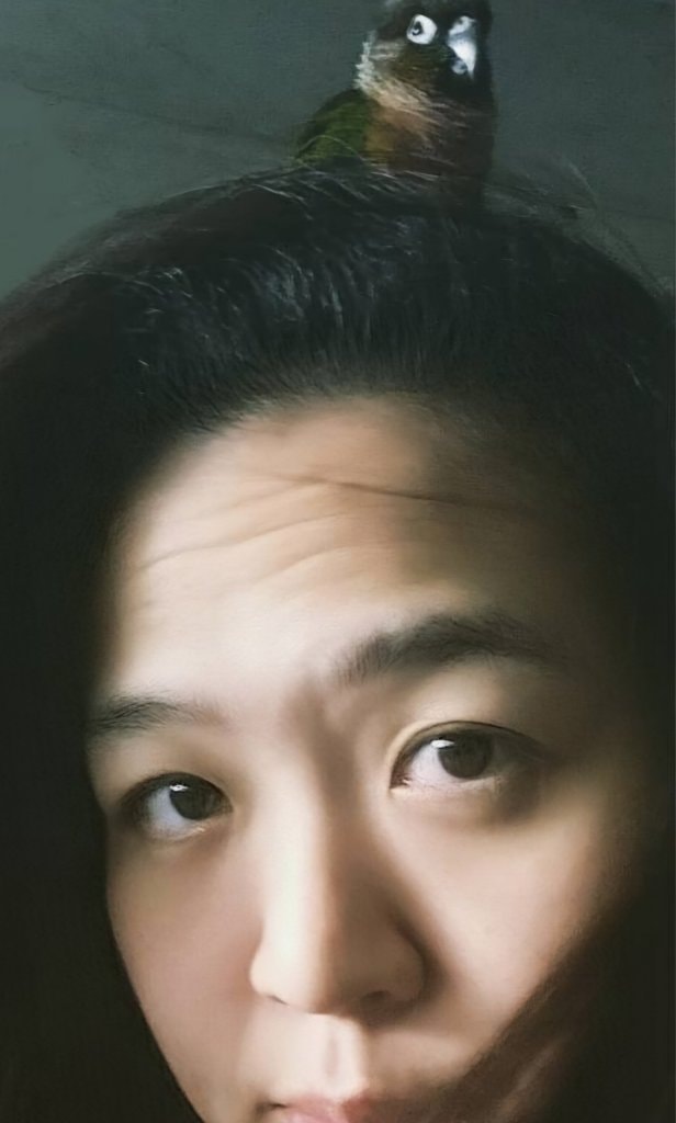 image-4