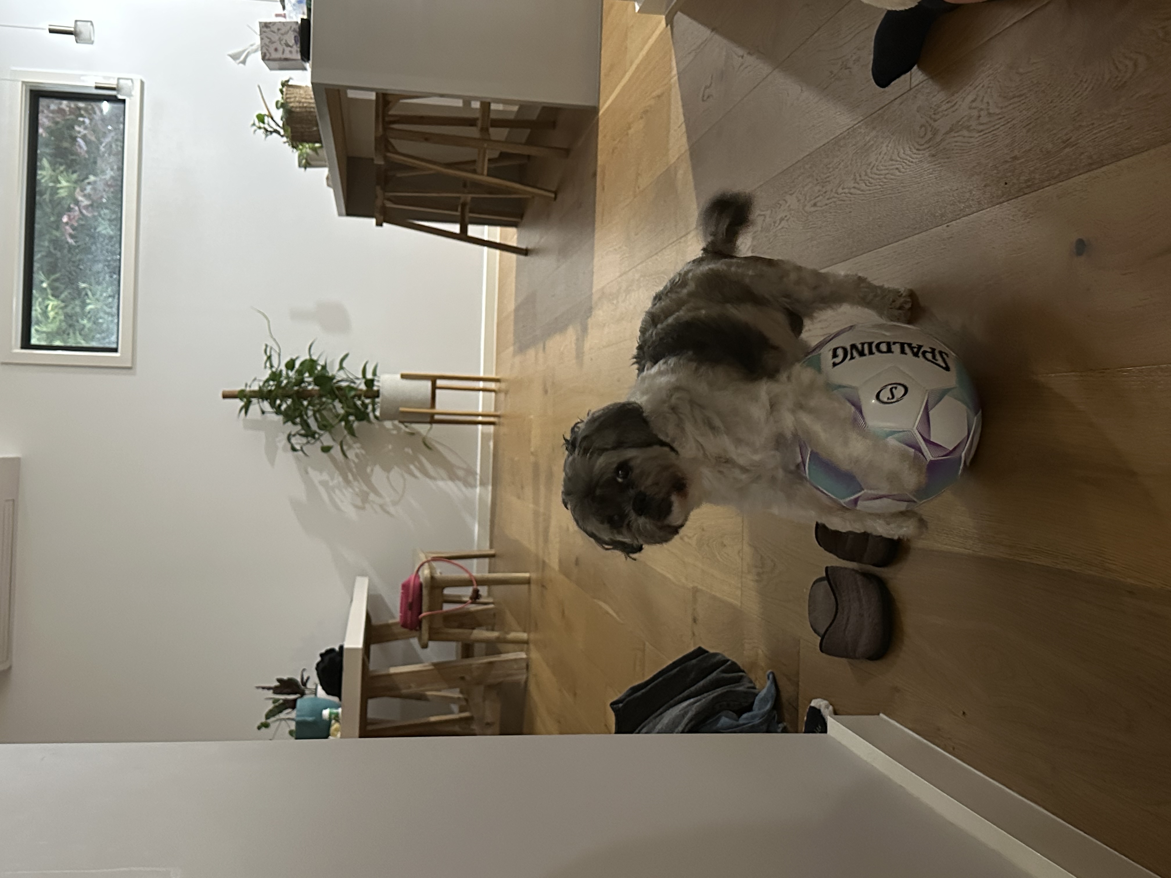 image-14