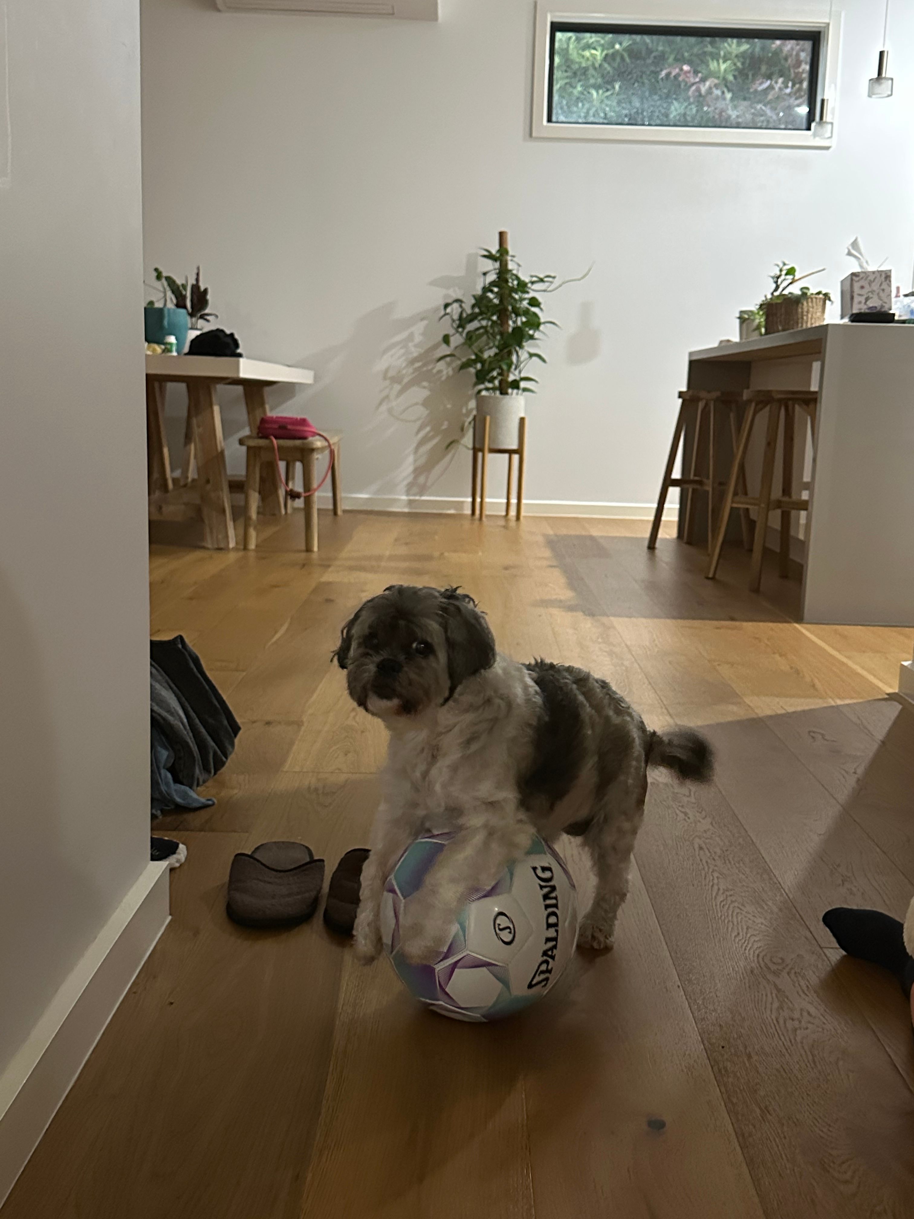 image-14