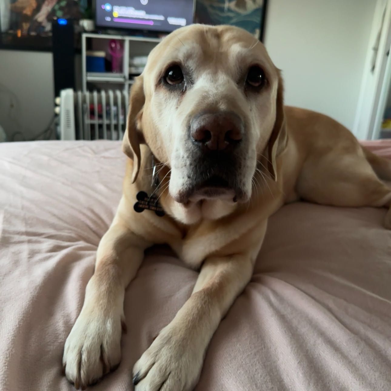 Sam