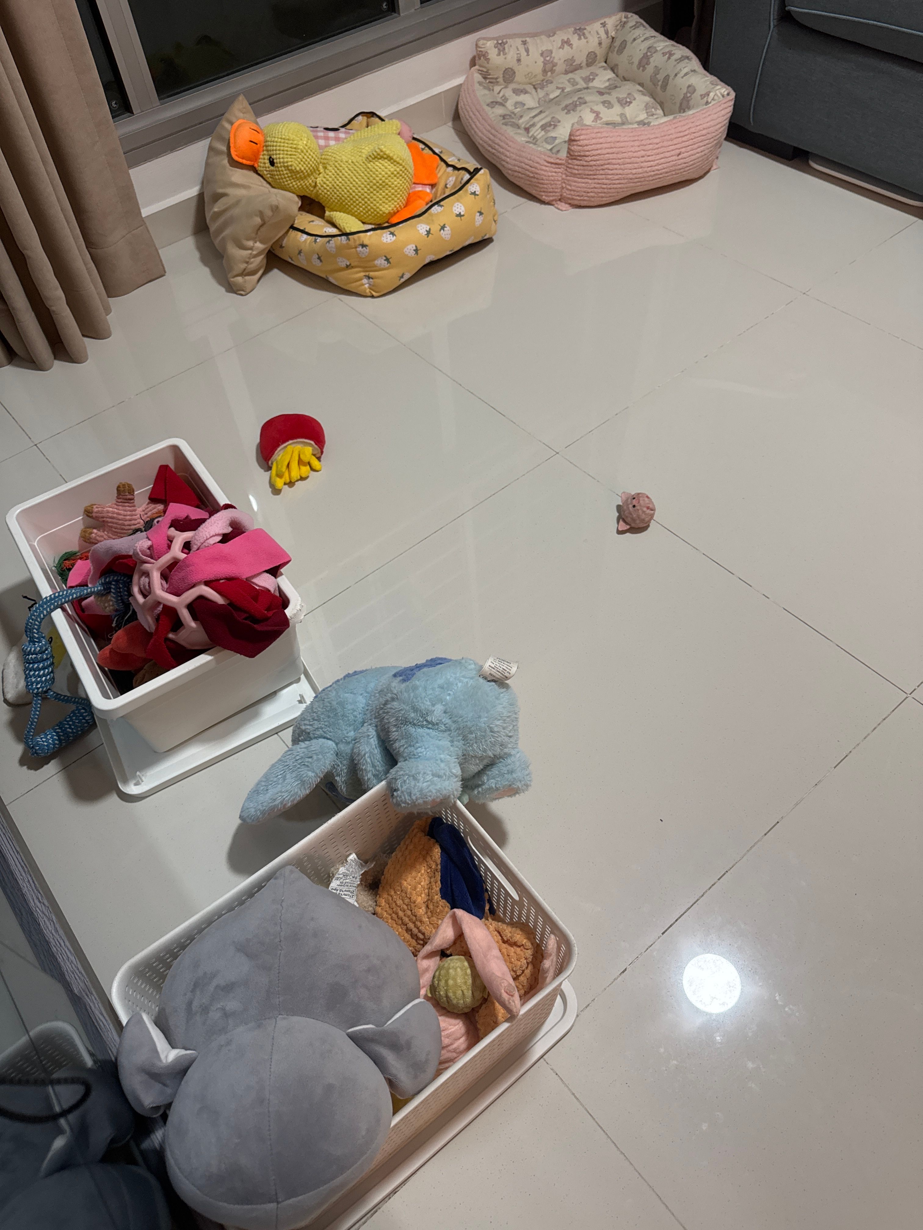 image-6
