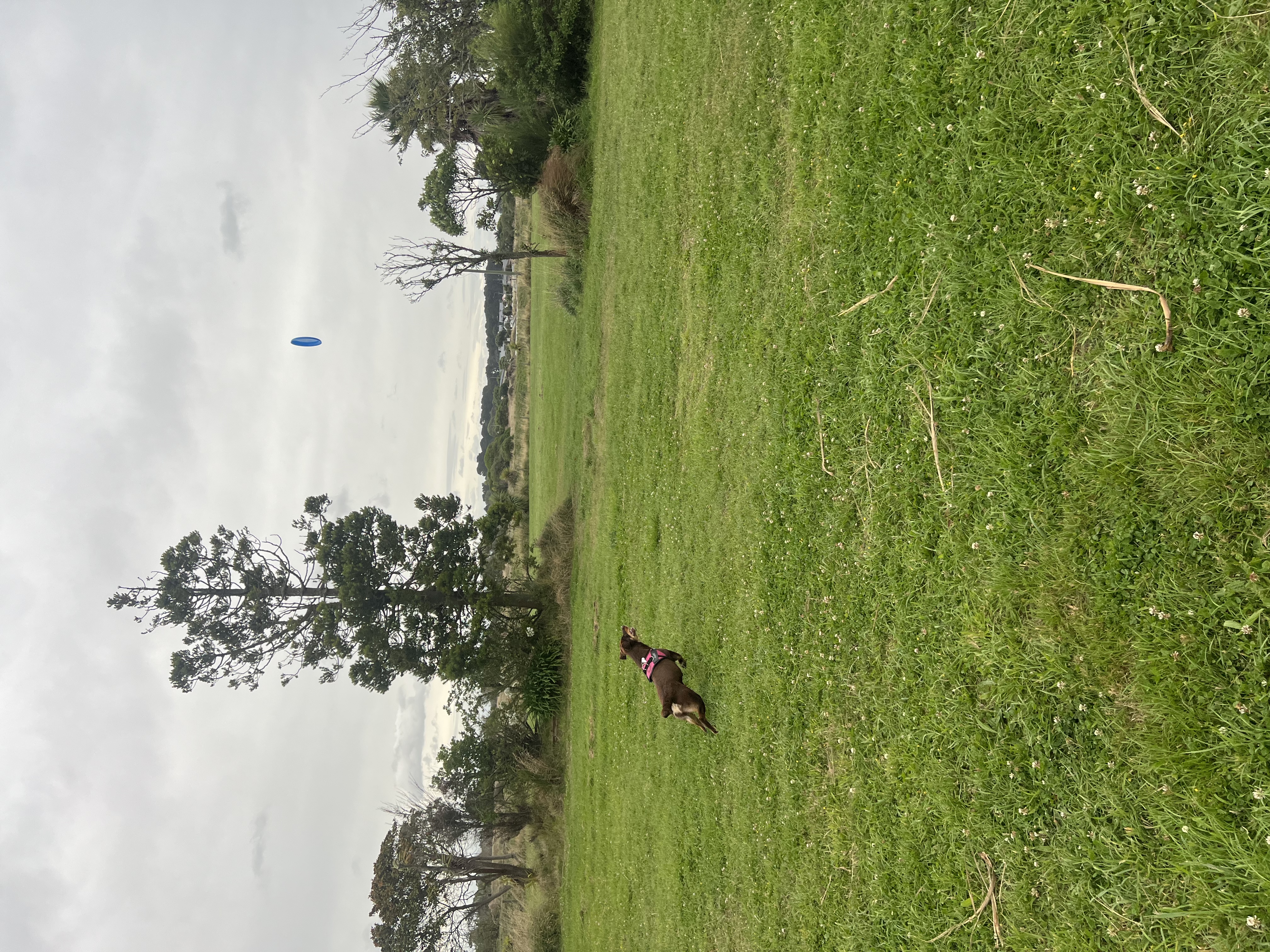 image-9