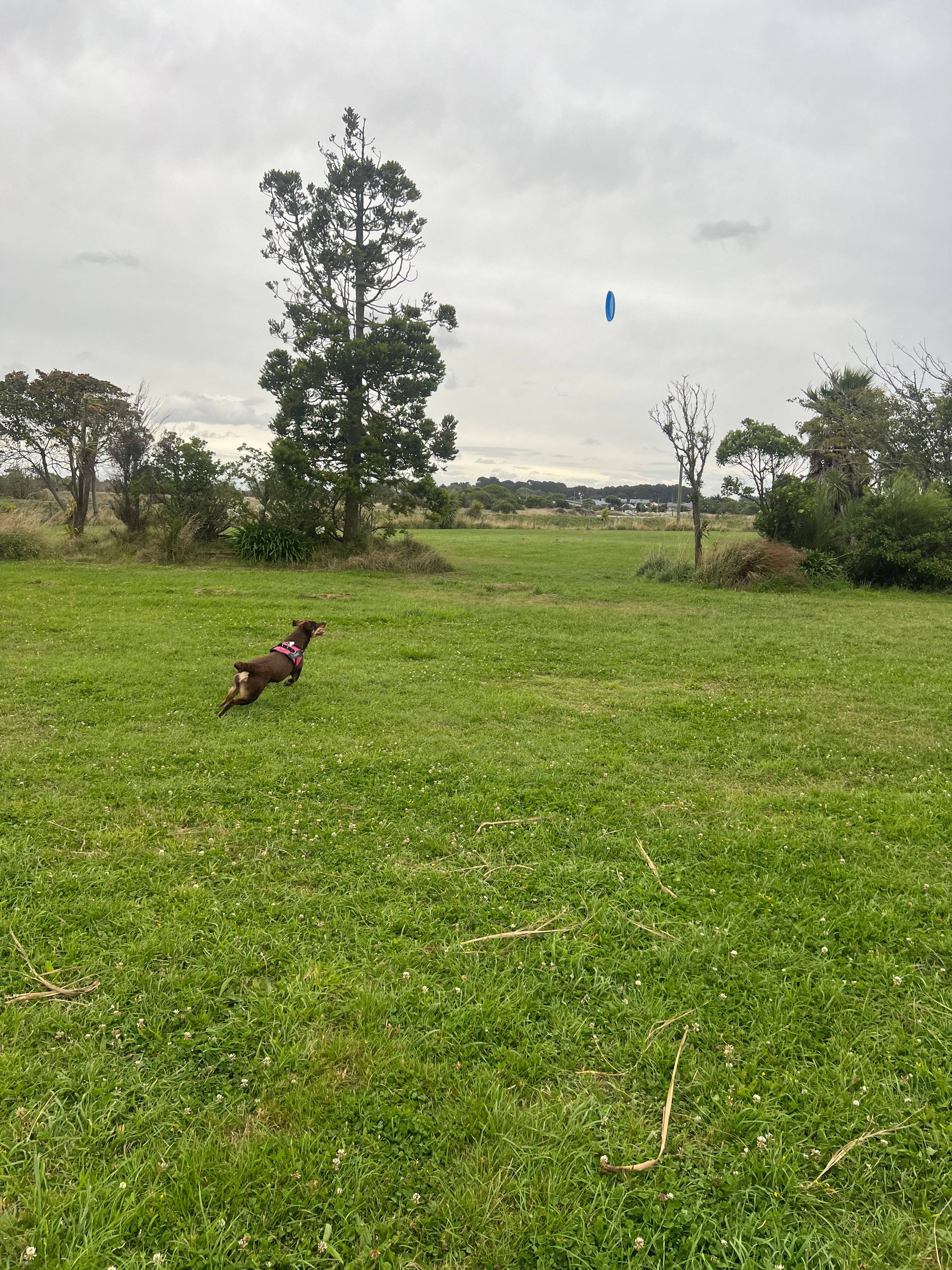 image-9