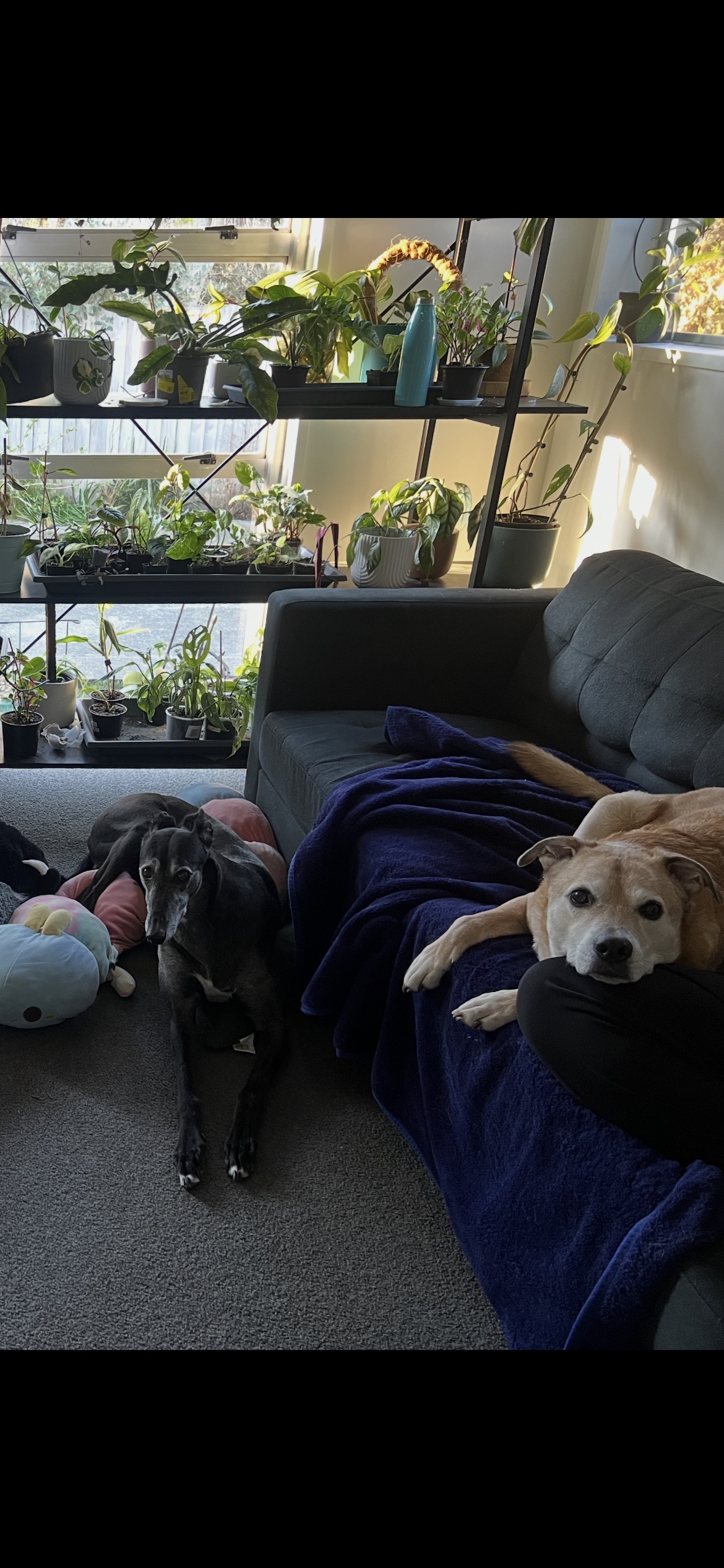 image-18