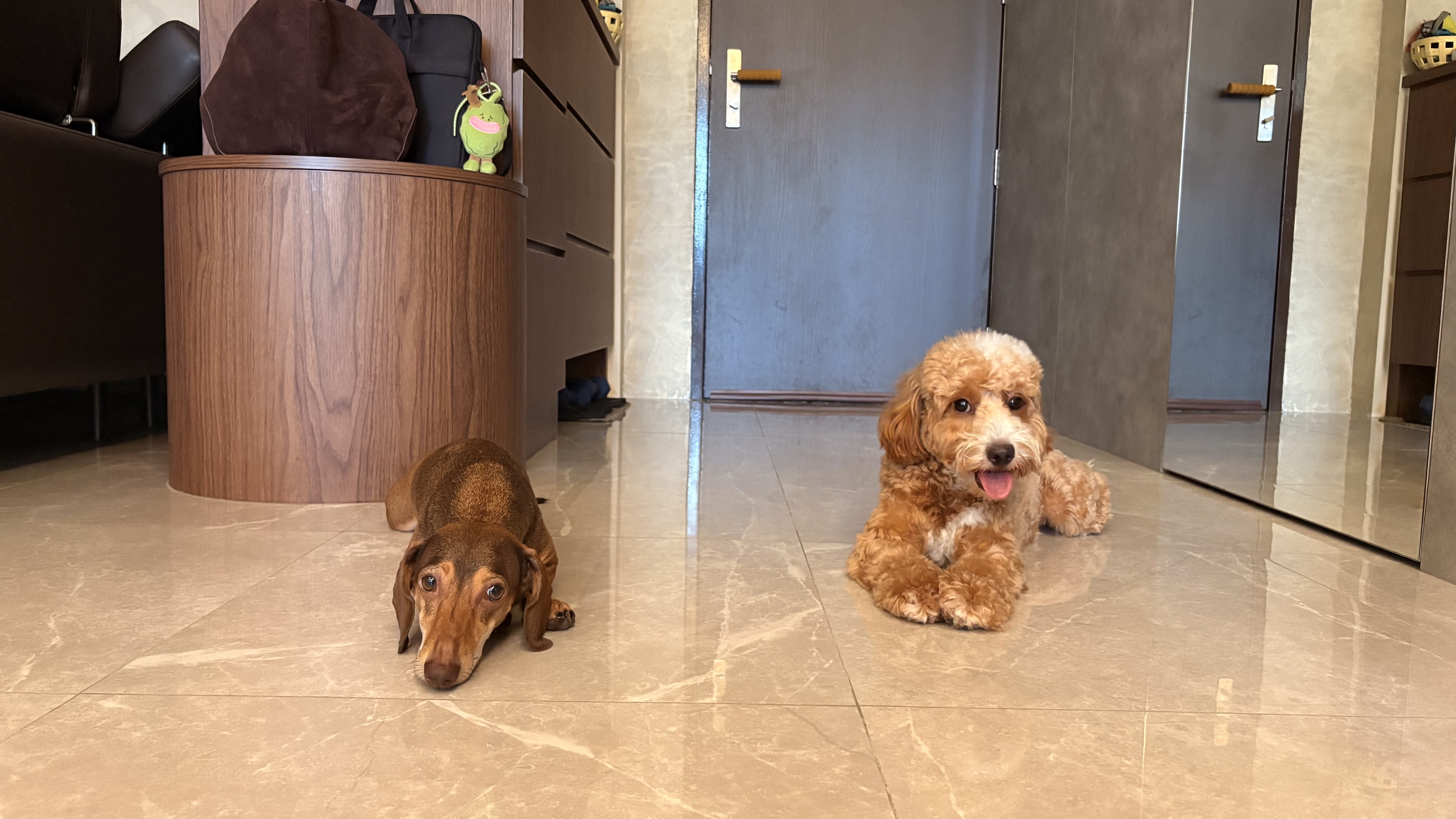image-16