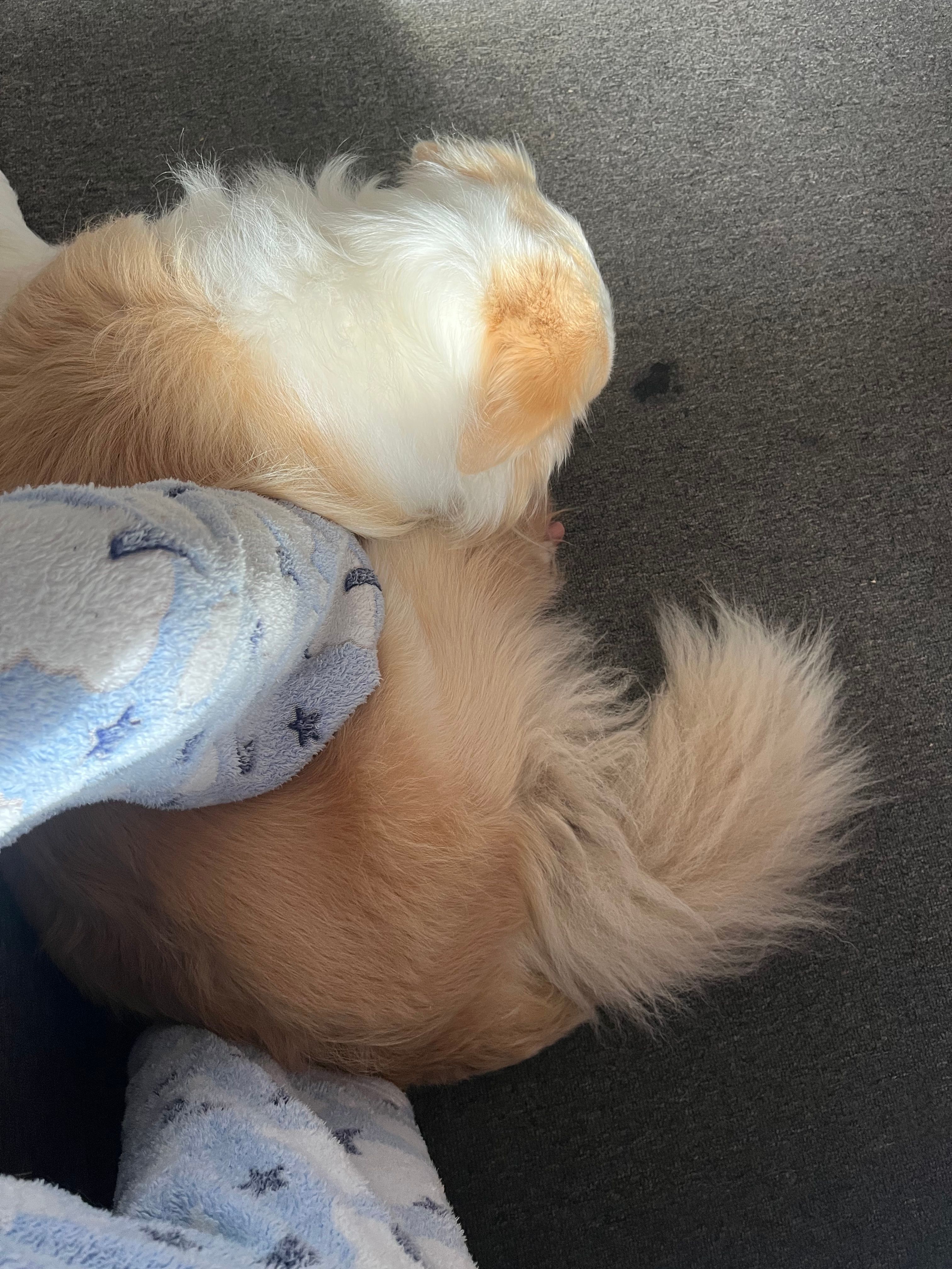 image-9
