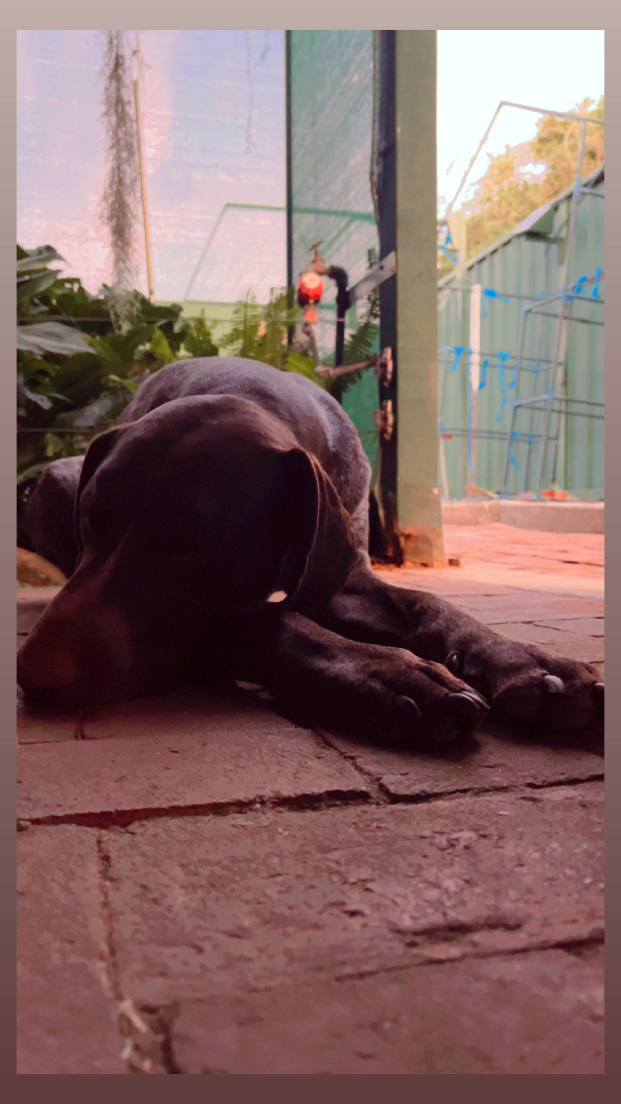 image-8