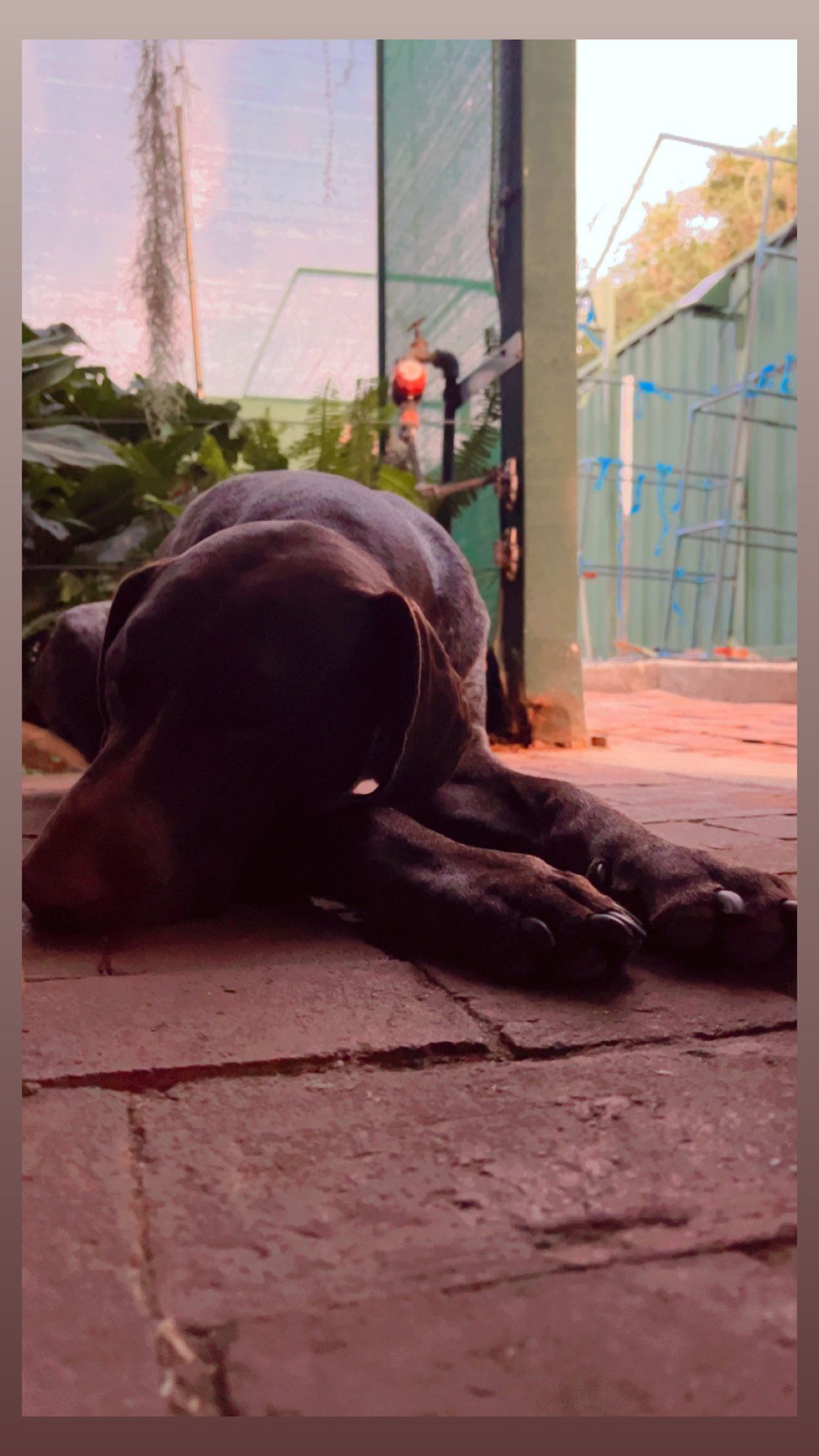image-8