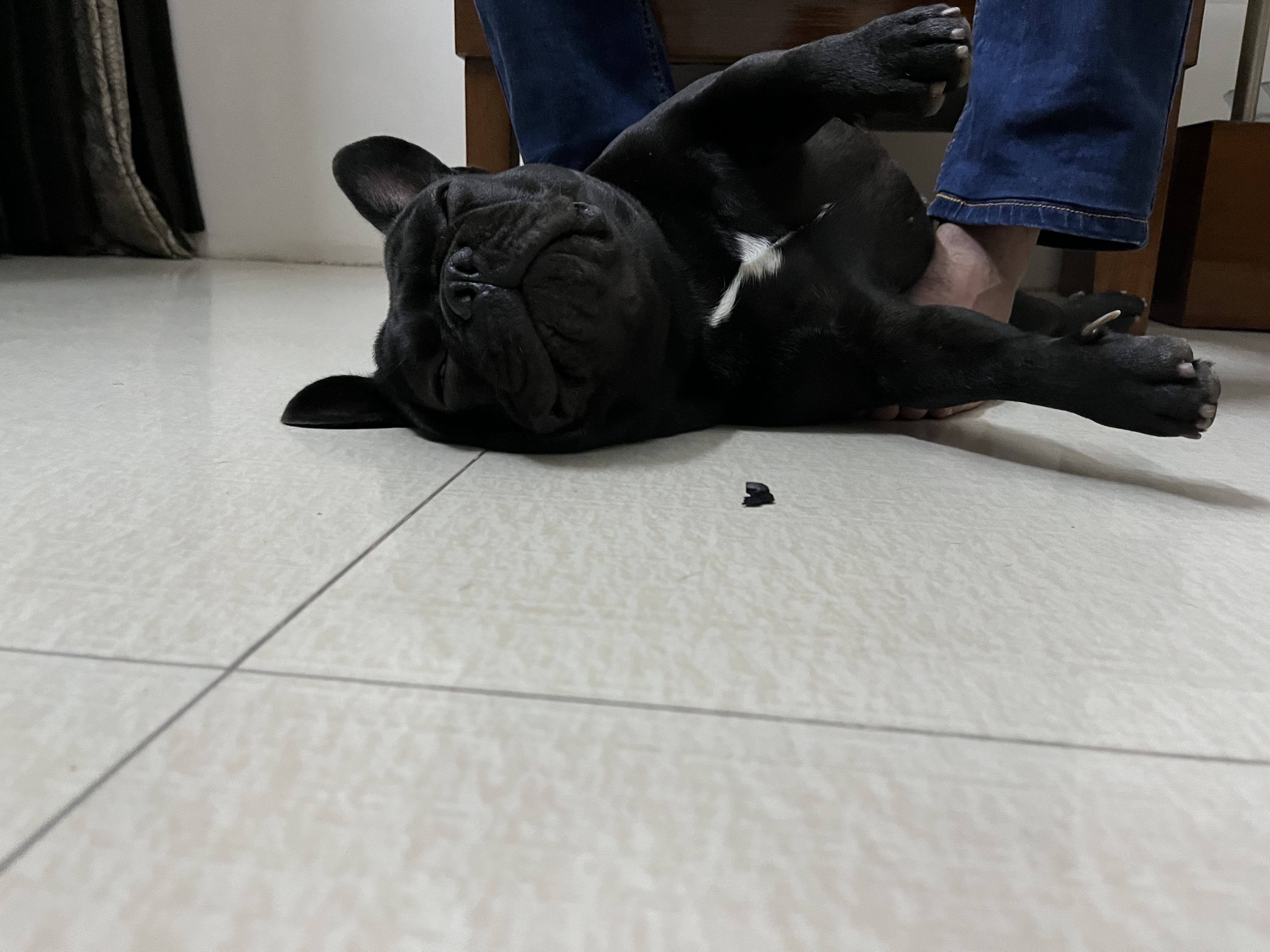 image-6