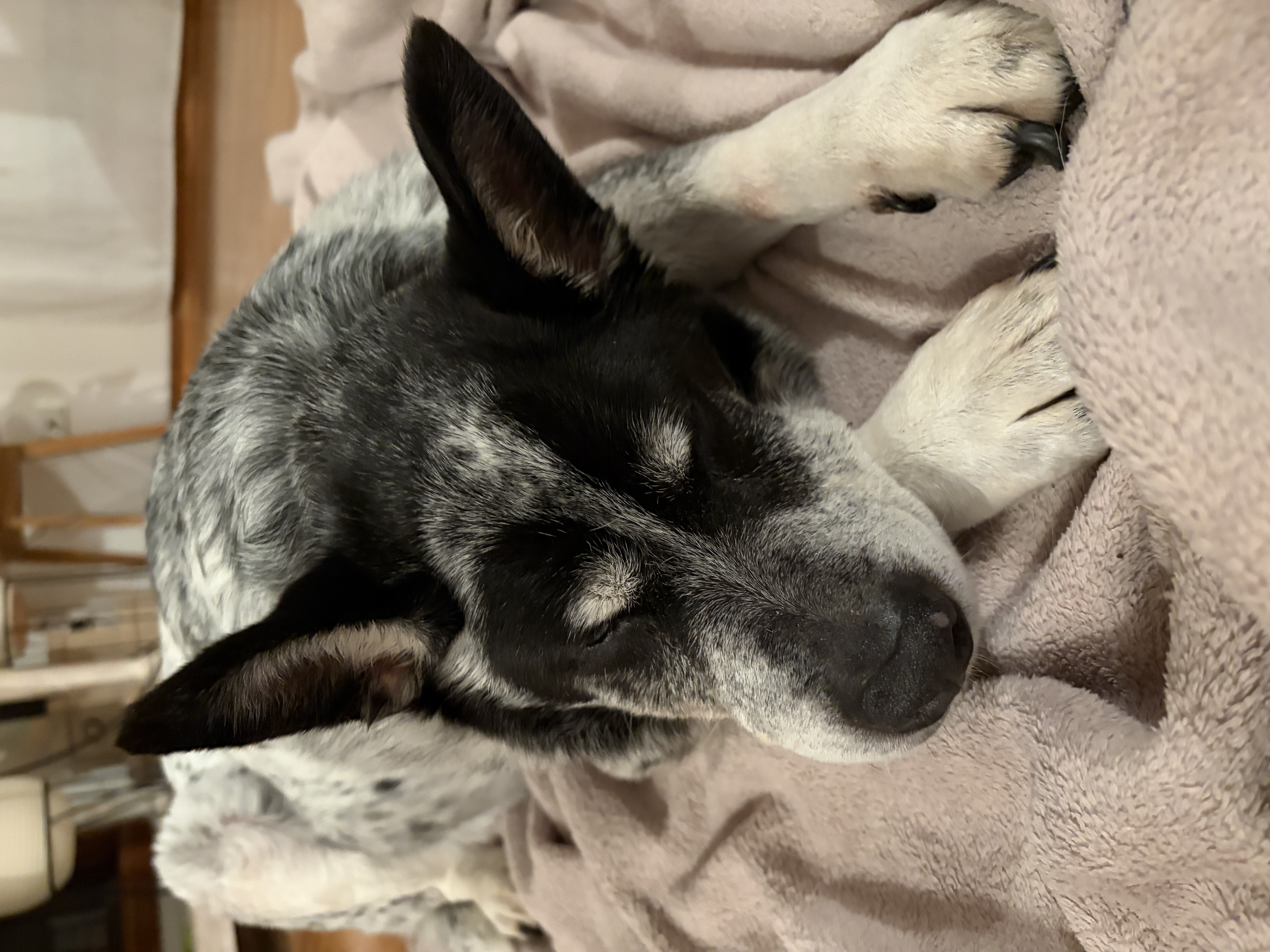 image-16