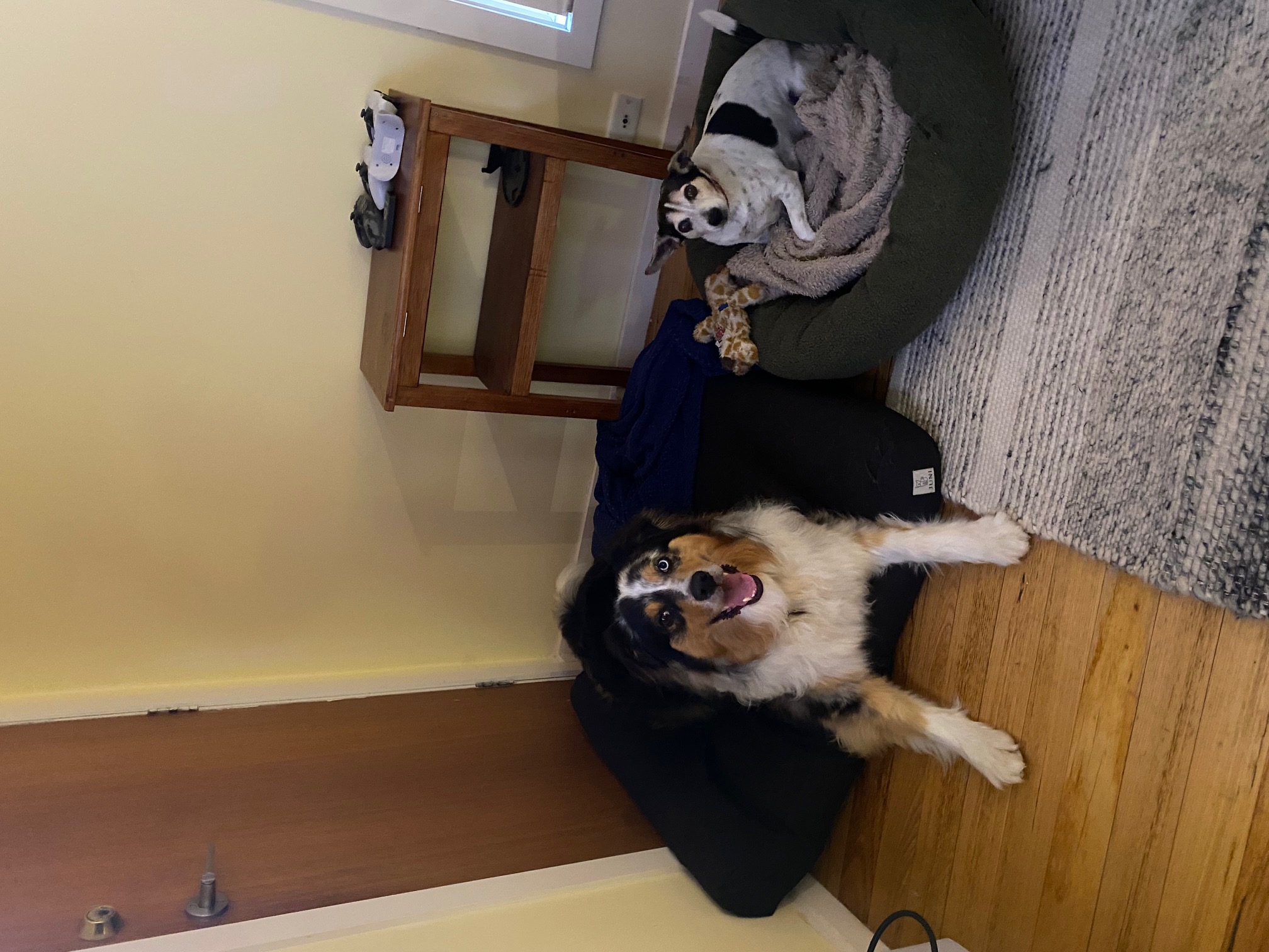 image-11