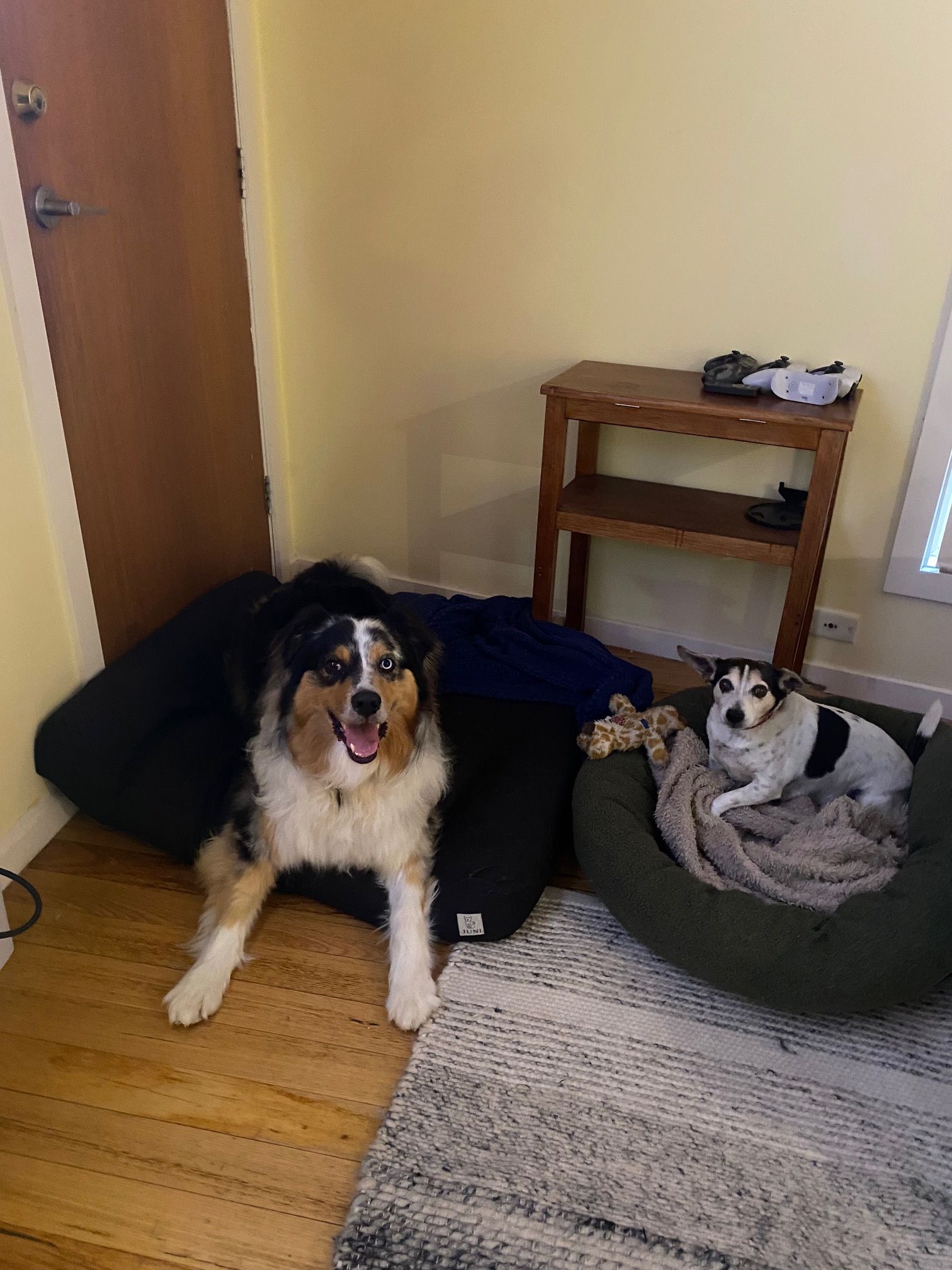 image-11