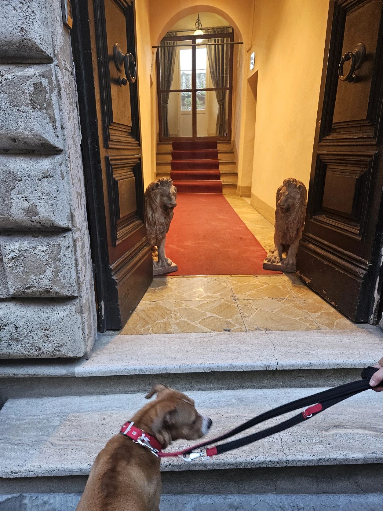 image-11