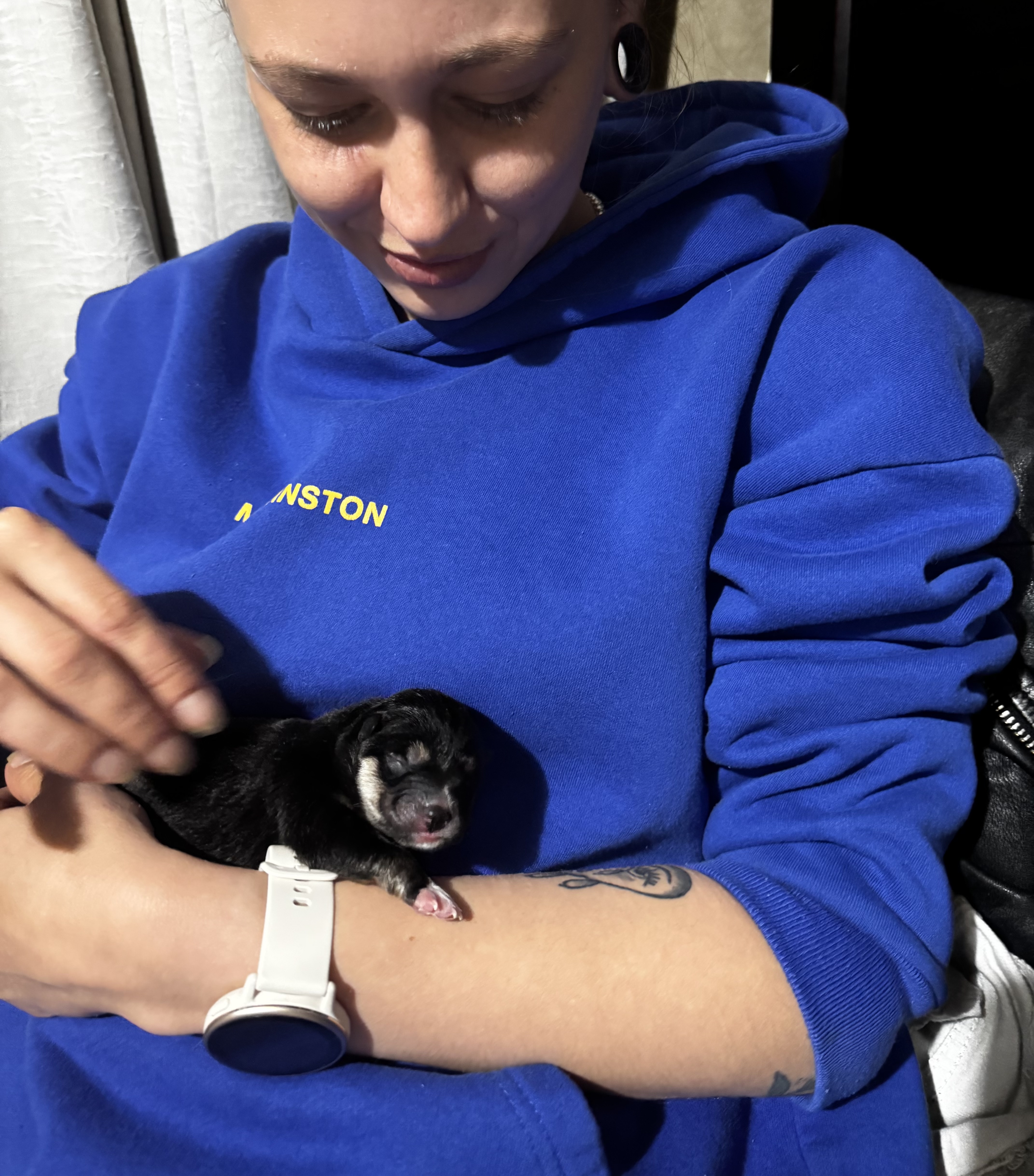 image-8