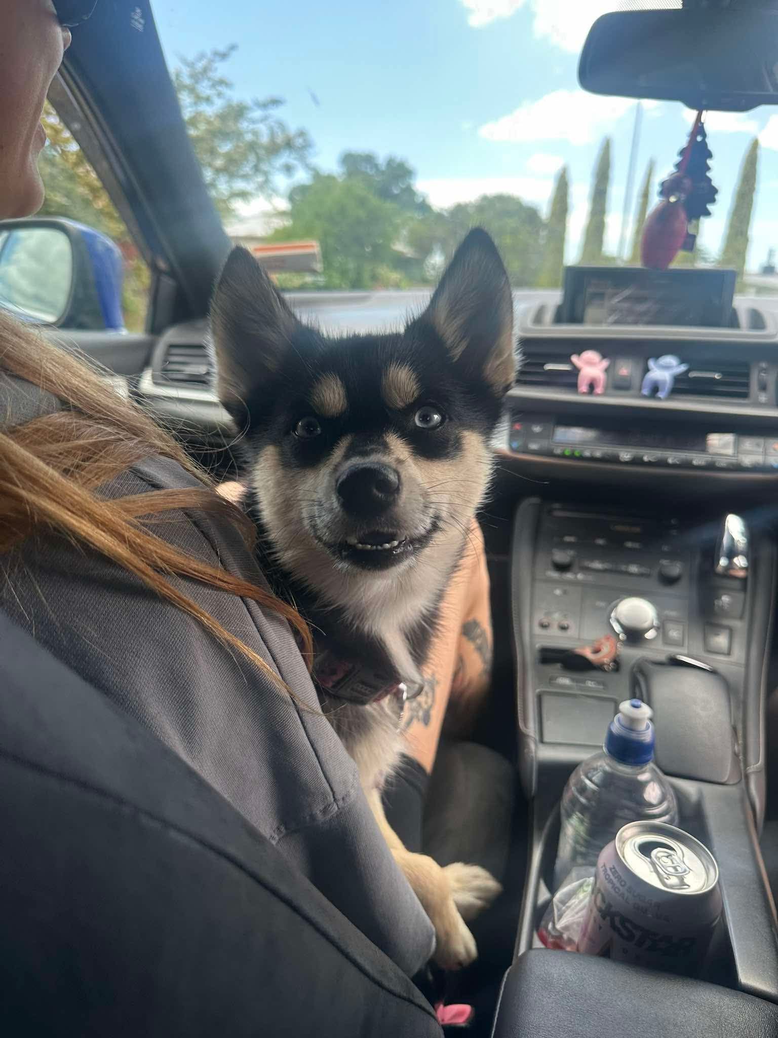 image-3
