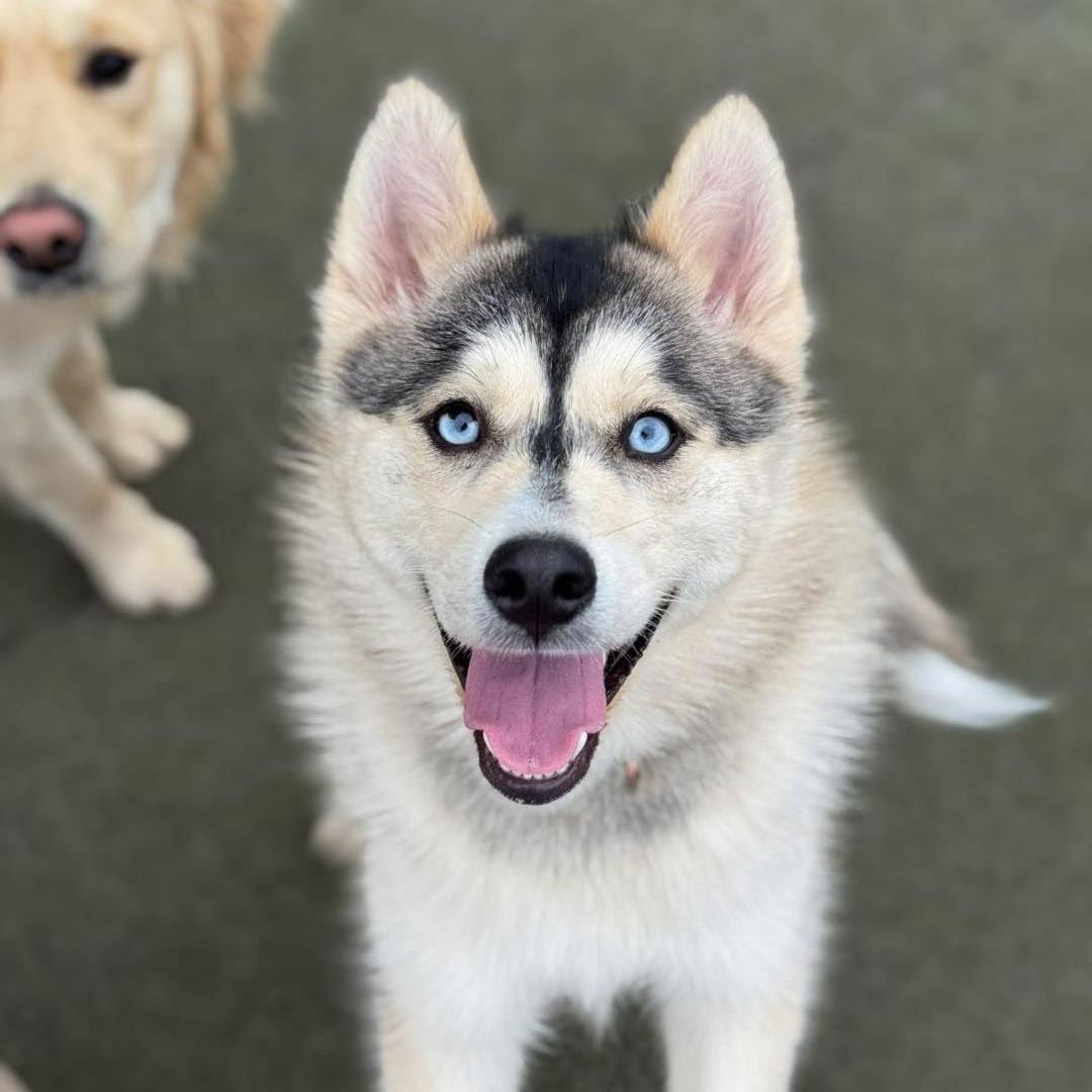 Rudy