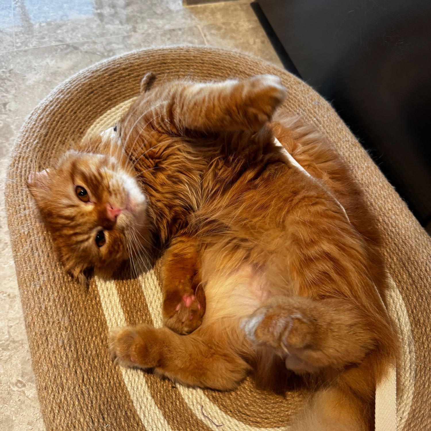 Simba