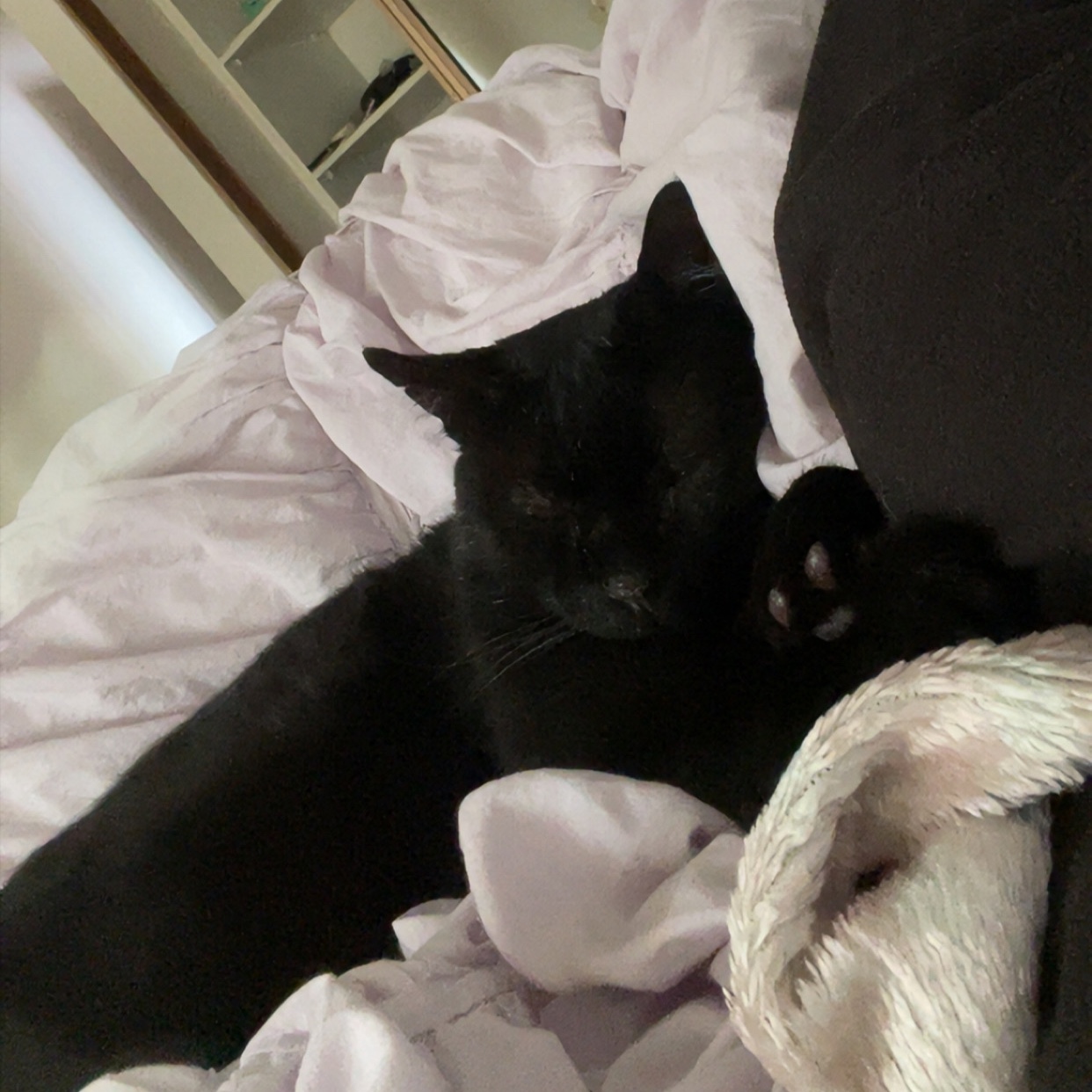 Salem