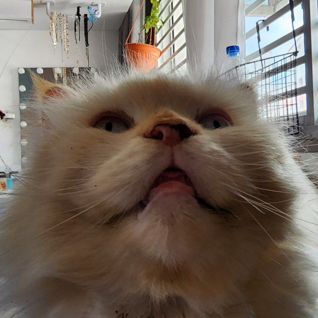 Charlie