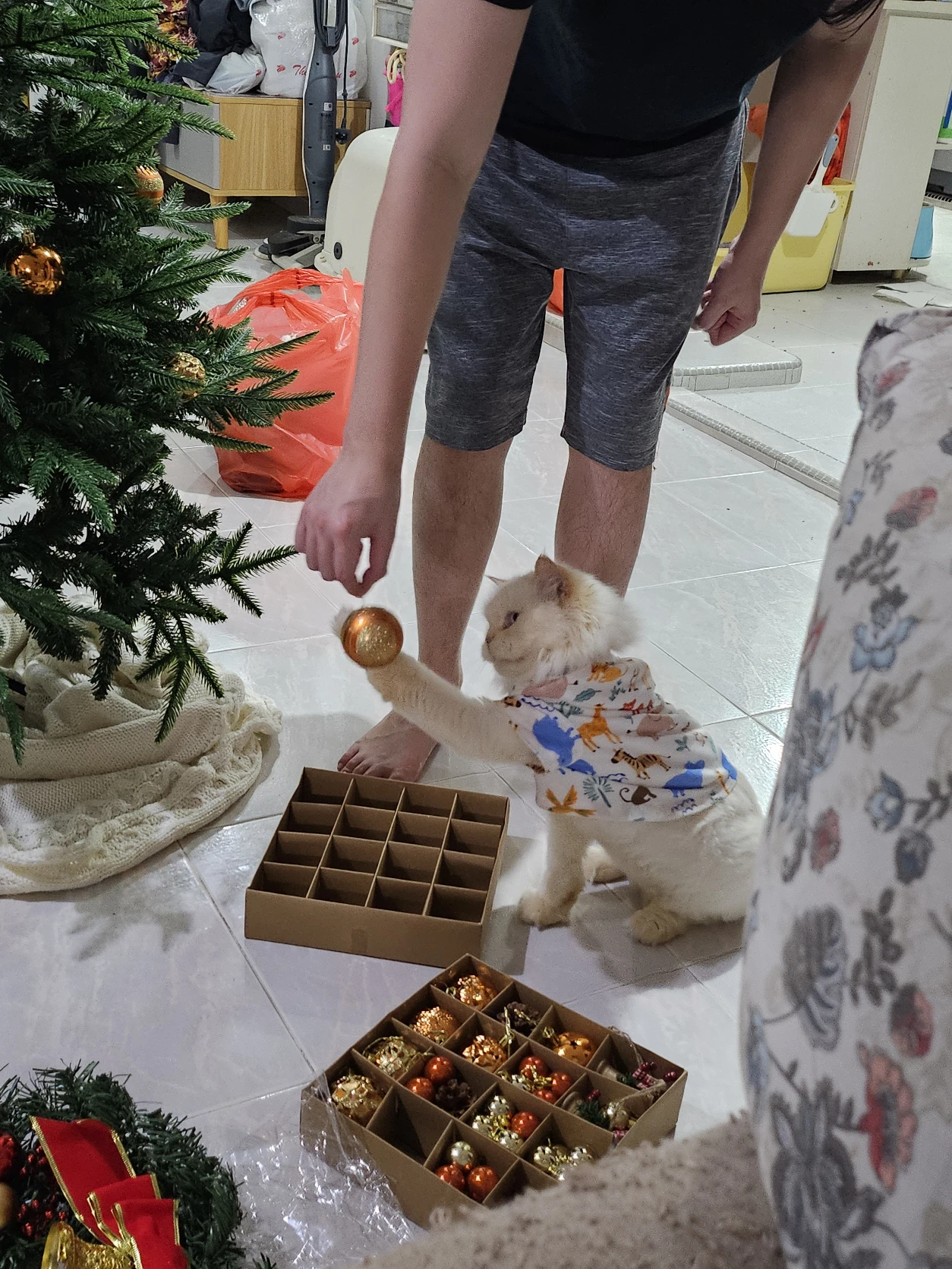 image-9
