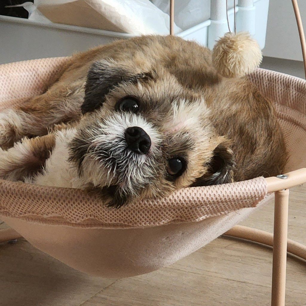 Fluffy