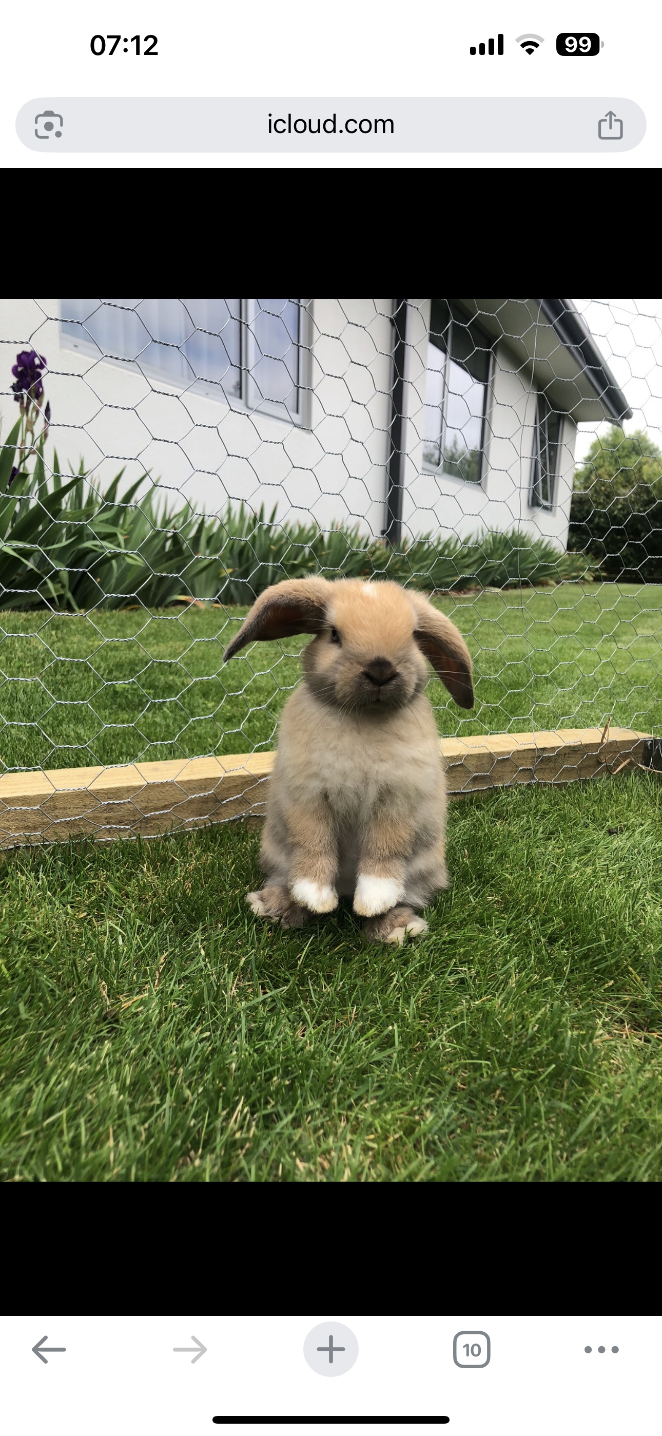 image-9