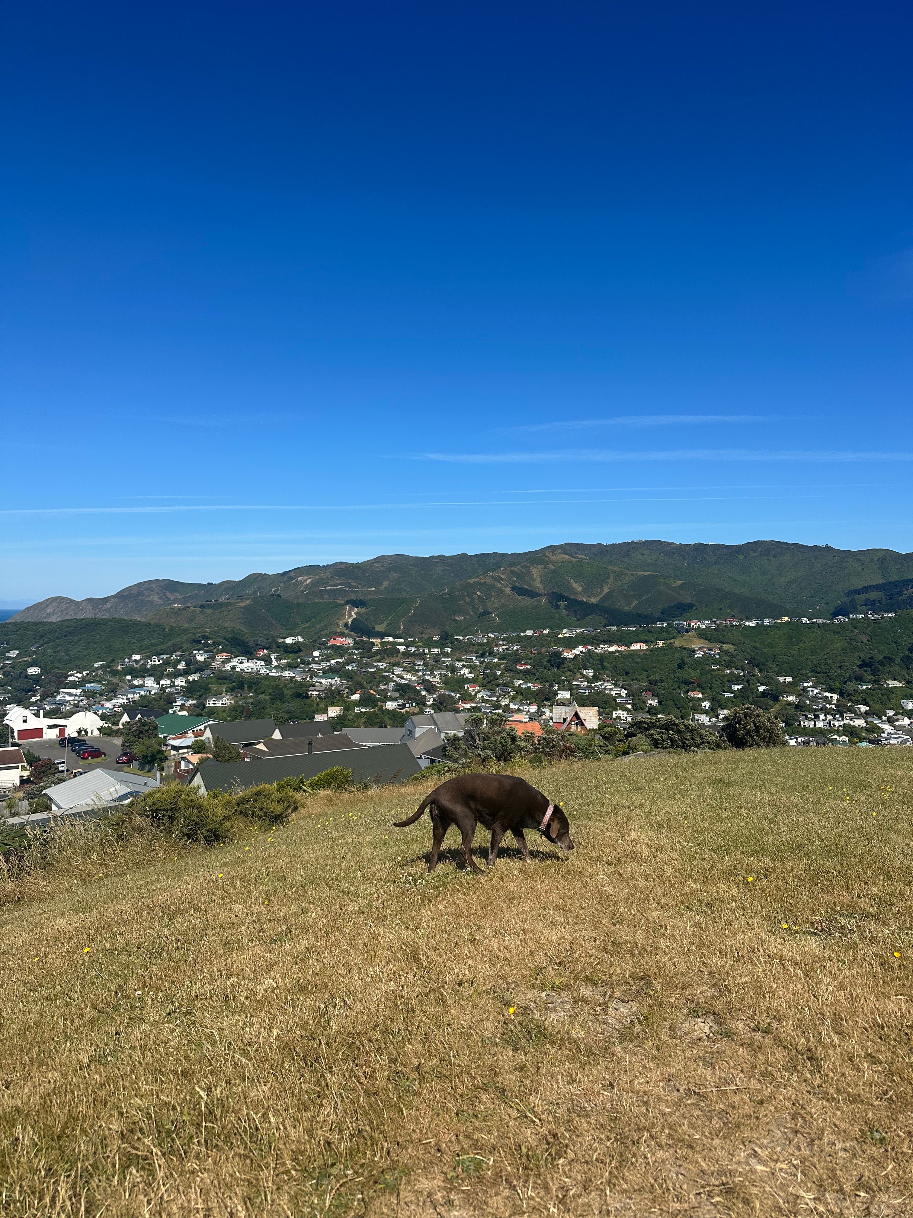 image-6