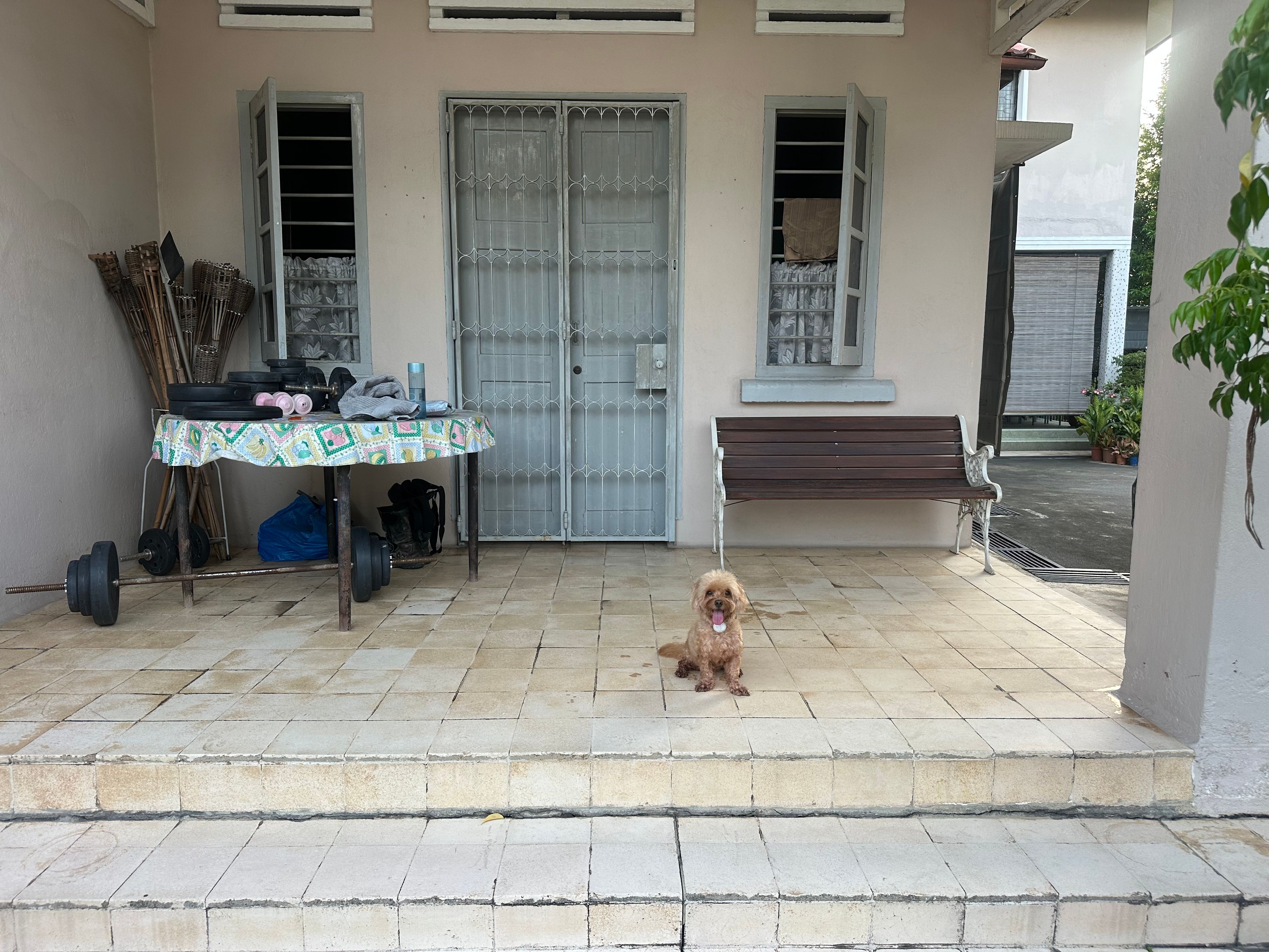 image-24