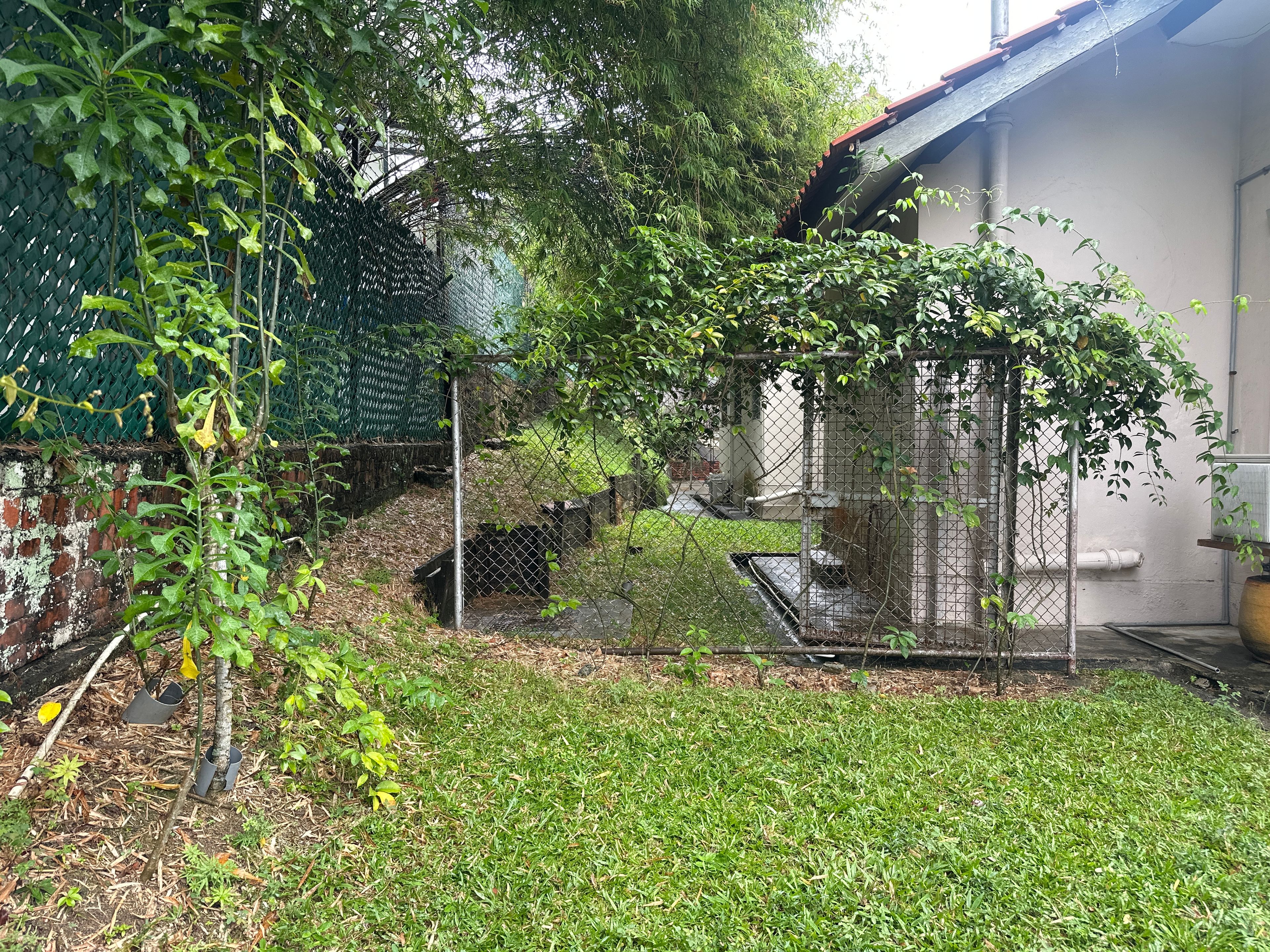 image-19