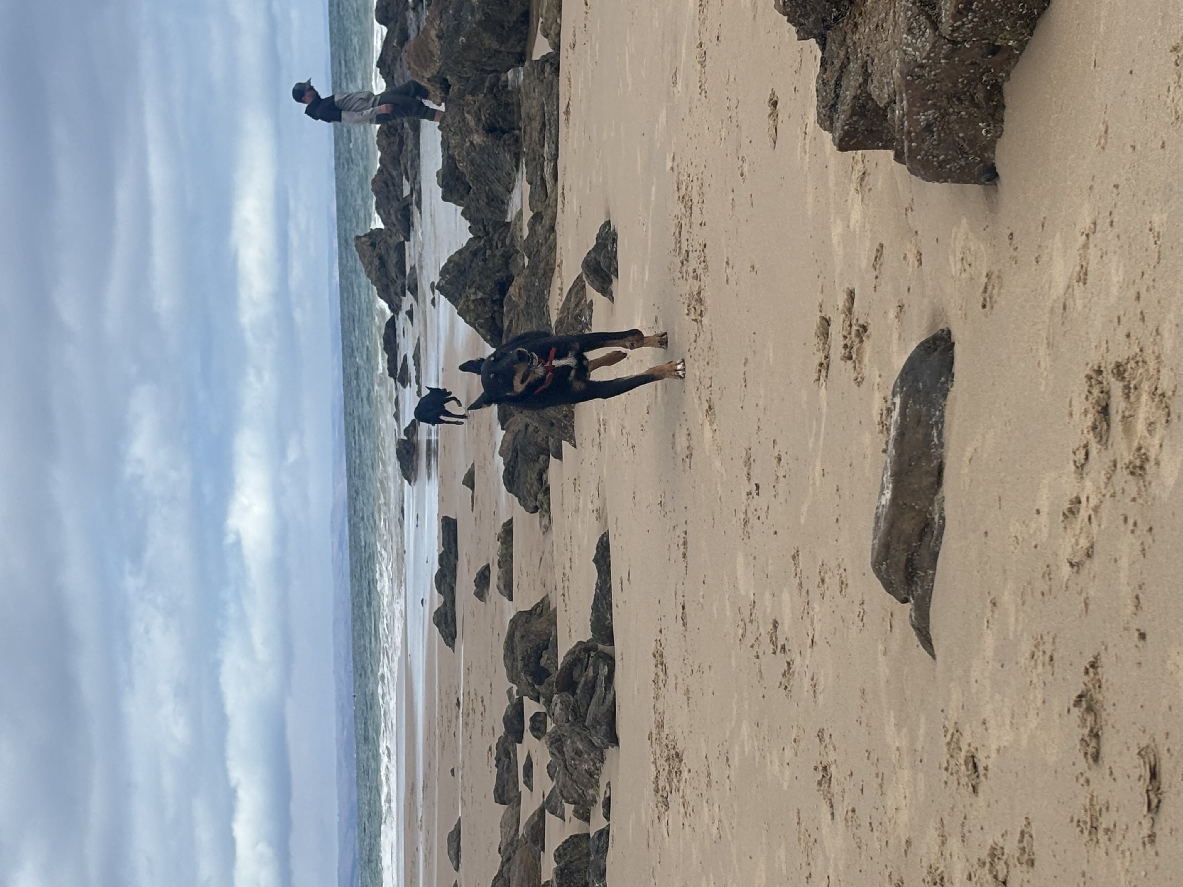 image-5