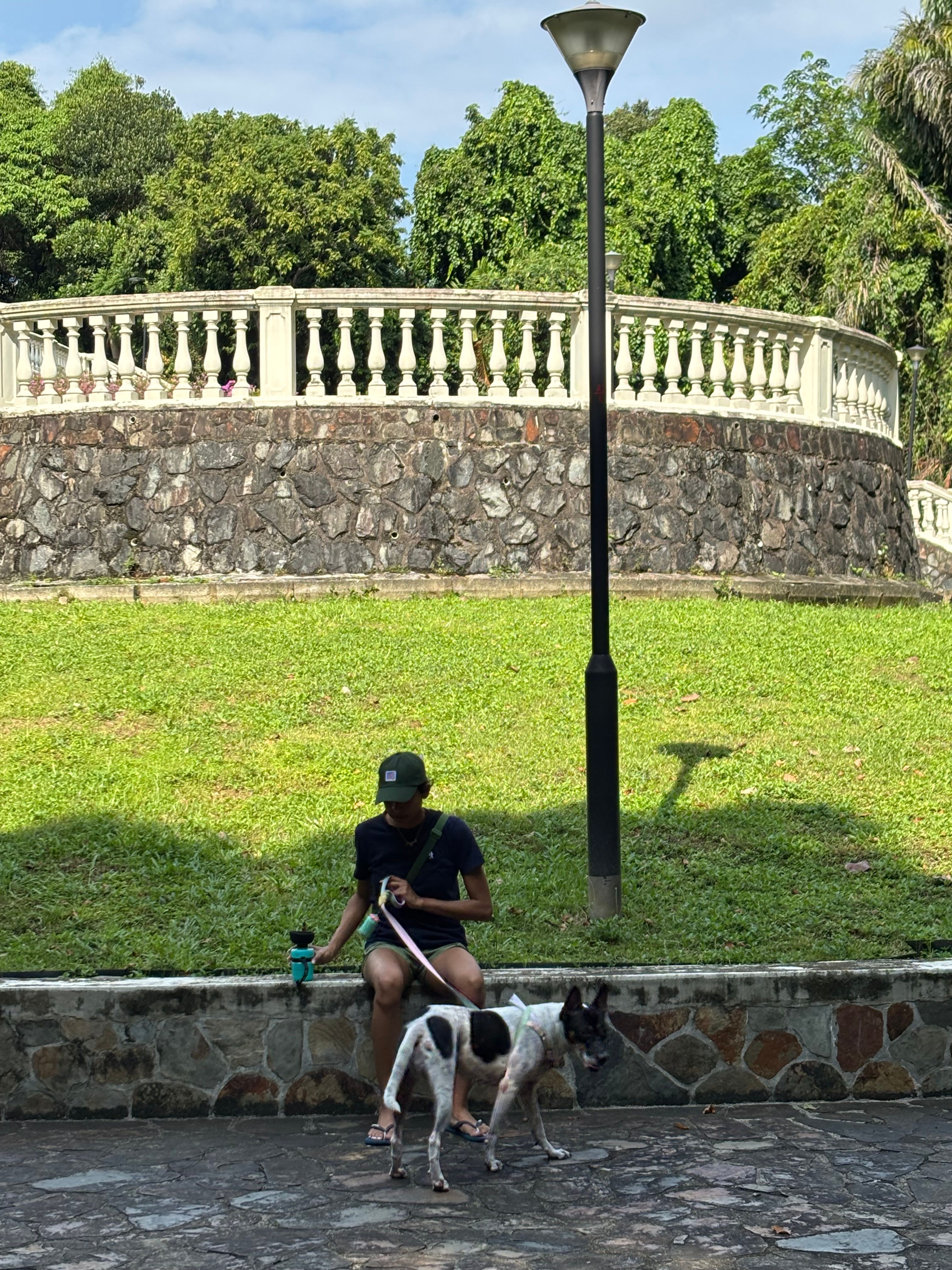 image-6